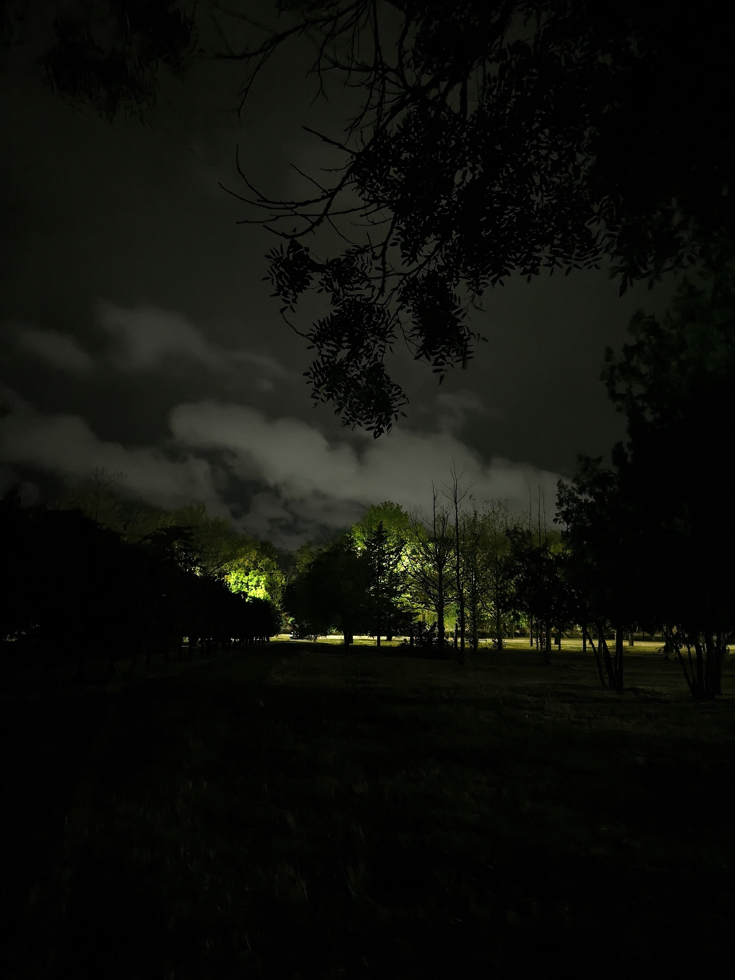 The image depicts a nighttime scene in a park or wooded area, likely within the city of Mykolaiv, Ukraine, given the provided context. The sky is dark with scattered clouds, illuminated by unseen light sources, possibly streetlights or ambient city glow. In the foreground and along the edges of the frame, silhouetted trees and foliage dominate, creating deep shadows.
The mid-ground reveals a line of trees, some of which are brightly illuminated by artificial light, casting a vibrant green and yellow hue on their leaves and branches. This light appears to be directed upwards, possibly from ground-level fixtures. Beyond these trees, the scene fades into darkness, with hints of what might be a road or pathway visible in the distance, marked by scattered points of light.
The overall impression is one of a tranquil, albeit somewhat eerie, nocturnal landscape. There are no people or animals visible in the image. The environment appears natural, with a mixture of dense foliage and more sparsely populated areas with tree trunks. The image quality suggests it may have been captured with a camera capable of low-light photography.