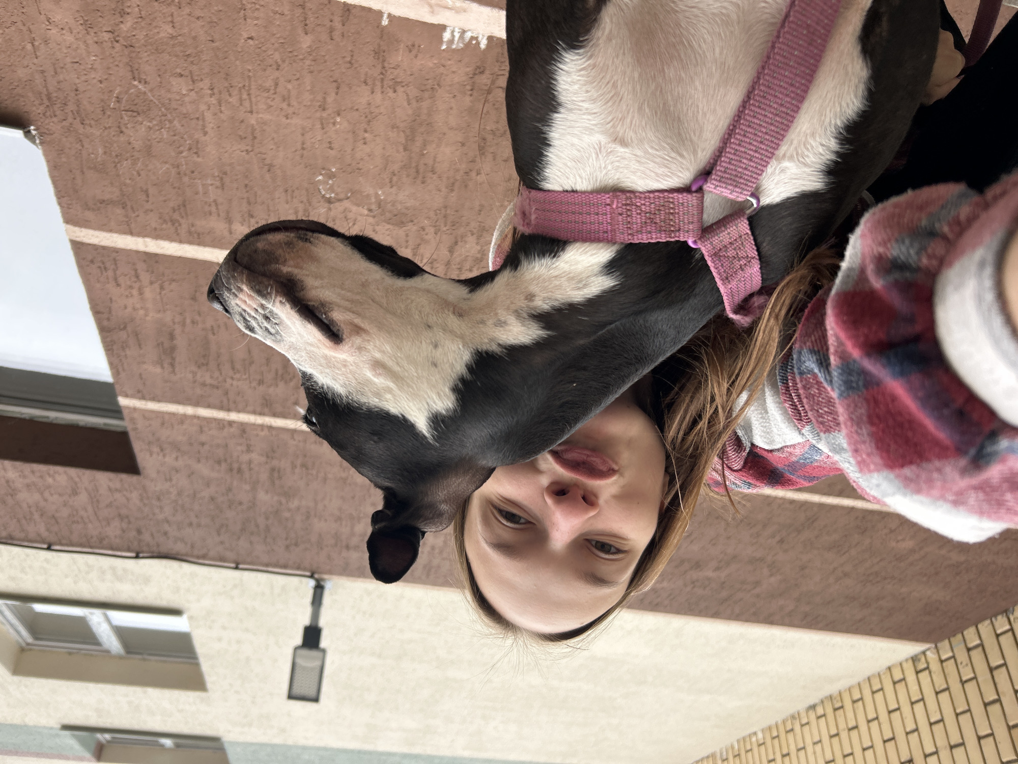 A young woman with long brown hair and a plaid shirt is taking a selfie with a black and white dog wearing a pink harness. The dog is leaning its head towards the woman, and both appear to be looking up. They are standing outside a building with a textured facade in earthy tones and a brick sidewalk. A street light is mounted on the building wall. The image was taken in the city of Chaikovsky, Russia.