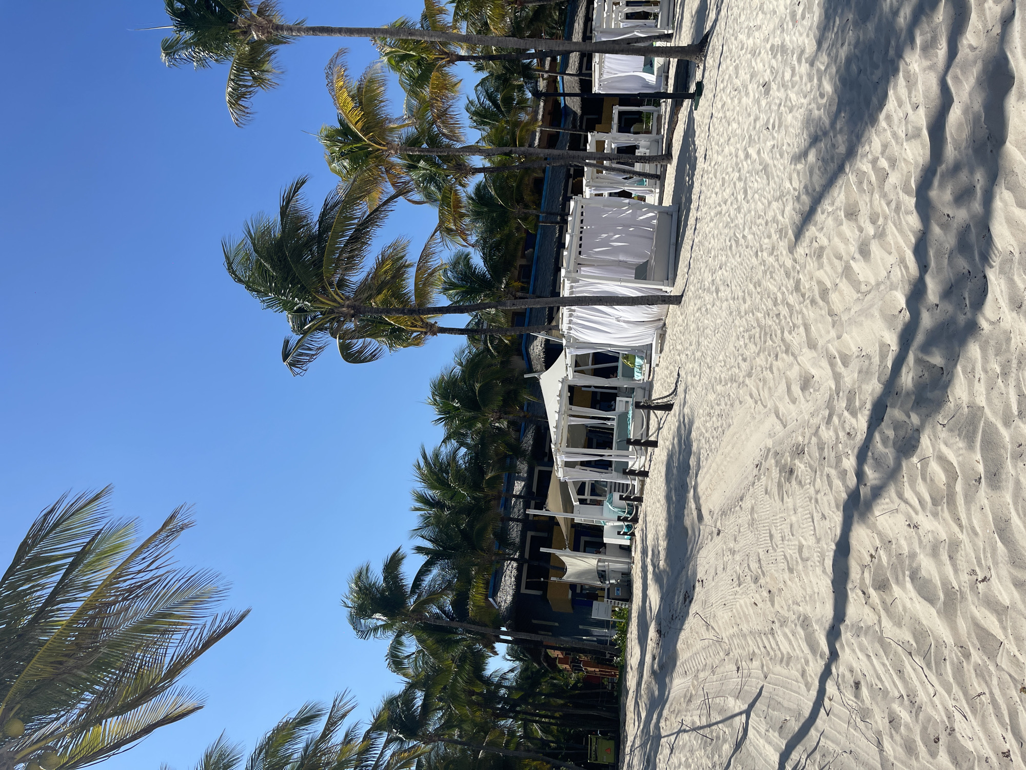 The image shows a beach scene in Playa del Carmen, Mexico. The view is oriented parallel to the shoreline. Palm trees line the left side of the image, extending vertically into a clear blue sky. To the right of the palm trees, white cabanas are lined up along the edge of the sandy beach. The sand covers the entire right side of the image, showing patterns and shadows. There are no people visible in the image.