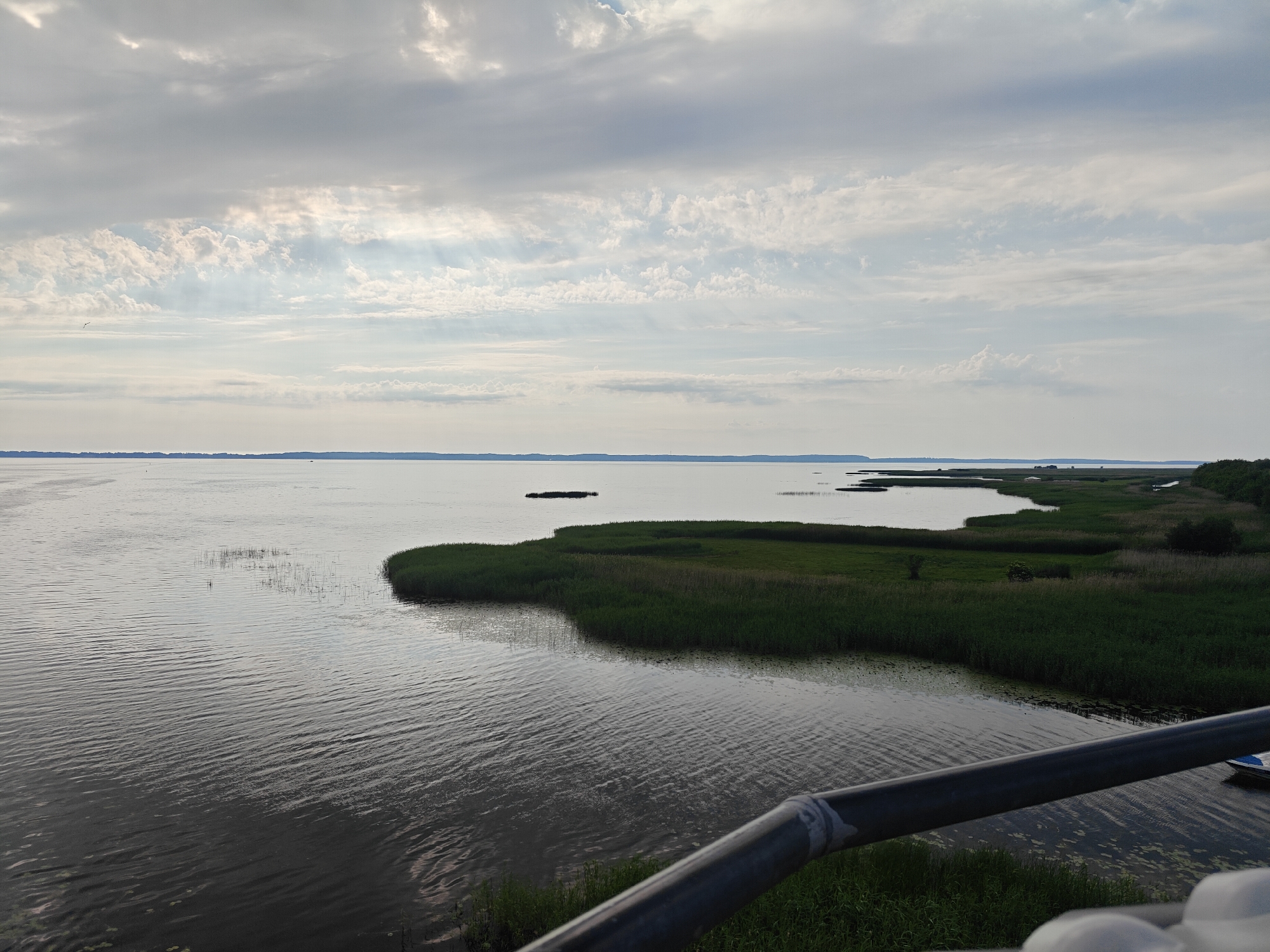 An elevated, wide-angle shot captures a tranquil scene of the Curonian Lagoon in Dreverna, Lithuania. The vast expanse of water, reflecting the overcast sky with streaks of sunlight breaking through, dominates the left side of the frame. Gentle ripples disturb the surface, creating a textured pattern. In the mid-ground, a lush, green marshland with tall reeds juts into the lagoon, forming a curved shoreline. Small, dark patches of vegetation dot the water near the reeds, and further out, a few scattered, darker masses suggest the presence of small islands or submerged vegetation. The distant horizon is defined by a low, tree-lined landmass, with faint structures visible, indicating the presence of a settlement. The foreground features a metal railing, partially obscuring the view, and green grass below. The overall atmosphere is serene and natural.