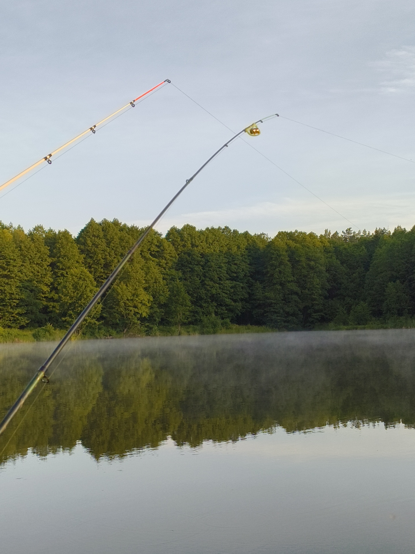 Two fishing rods are shown in the foreground, angled towards a tranquil lake. The lake is covered in a light mist, with the reflections of the dense green trees lining the opposite bank visible on its surface. The sky above is a pale, hazy blue, suggesting either early morning or late evening. The overall atmosphere is peaceful and serene.
