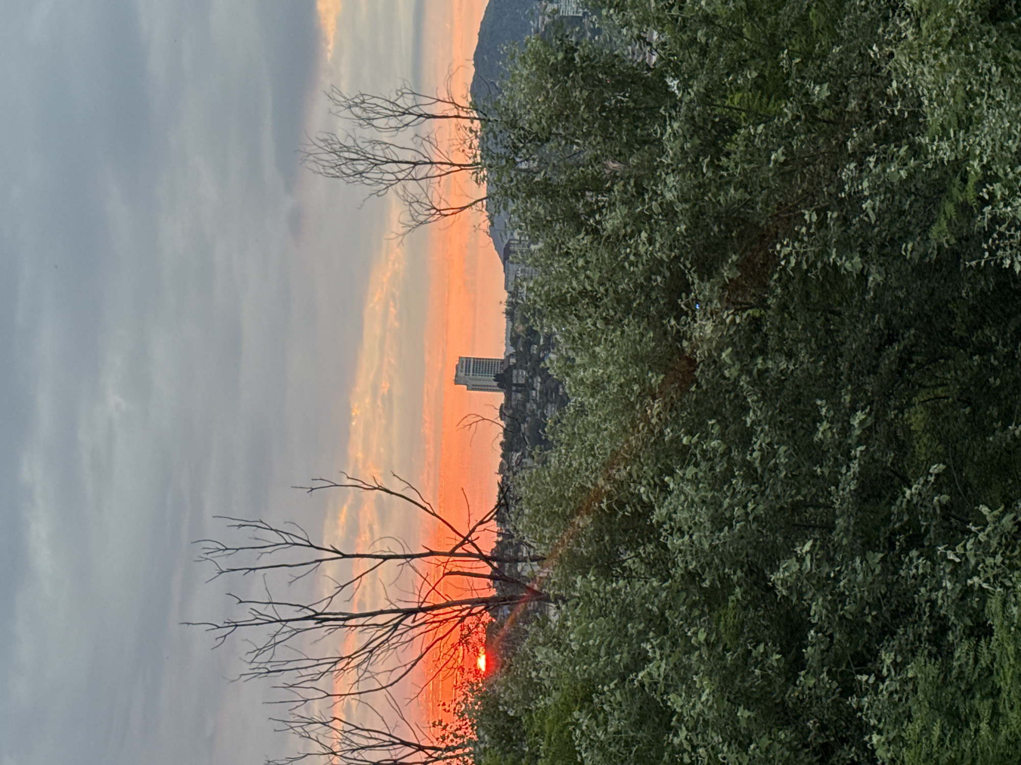 The image depicts a sunset over the city of Sochi, Russia. In the foreground, dense green foliage with some bare branches obscures the view. Behind the foliage, the sun is setting, casting a vibrant orange and red glow across the sky. A modern, tall building stands on a hill in the middle ground, surrounded by other buildings that make up the city. In the background, a large, rounded mountain is visible. The sky is filled with clouds, some dark and ominous, others reflecting the sunset colors. The overall scene conveys a sense of natural beauty and urban presence during twilight.