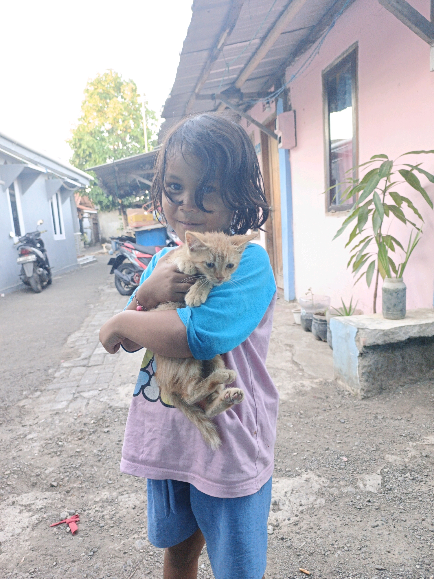 A young girl, with dark hair and an expressive face, stands in what appears to be a residential yard in Kelurahan Cilacap, Kecamatan Cilacap, Indonesia. She is holding a small, light-colored kitten close to her chest. The girl is wearing a light pink t-shirt with a colorful graphic on the front and blue shorts. The kitten, with its fur slightly matted, is nestled securely in her arms.
The background reveals a modest outdoor setting. To the left, a light gray house with white-trimmed windows is visible, with a motorcycle parked in front. To the right, a pink house with a dark-framed window stands, adjacent to a low concrete structure that holds potted plants. A large tree with green and yellow foliage is present in the distance, suggesting a rural or semi-rural environment. The ground is unpaved, covered with gravel and dirt. Overhead, a simple roof structure made of wood and corrugated material is visible. The lighting indicates it is daytime, with diffused sunlight.