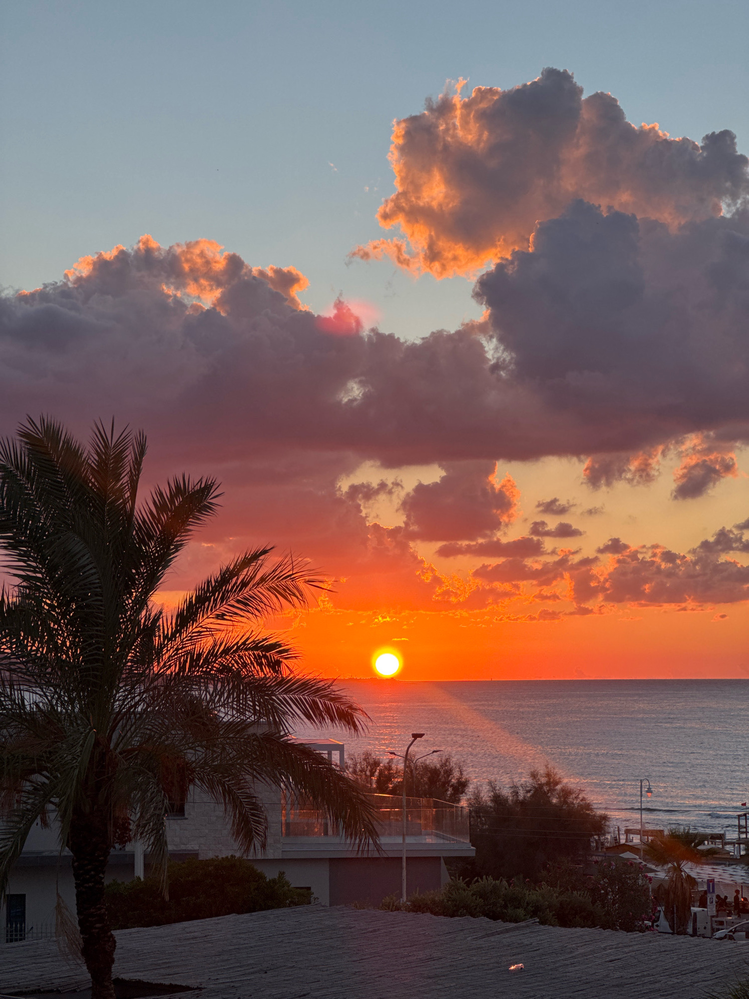 This is a photograph taken from a high vantage point overlooking the sea at sunset in Isola delle Femmine, Italy. The sun, a bright orange orb, is low on the horizon, casting a golden path across the water and illuminating the underside of scattered clouds with fiery oranges and pinks. The sky transitions from a pale blue at the top to vibrant orange near the horizon. In the foreground, a large palm tree with dark green fronds dominates the left side of the frame, its silhouette sharp against the colorful sky. Below the palm tree, a building with a modern balcony and a tiled roof is visible. Further in the midground and background, more vegetation and structures, including what appears to be a beachside area with umbrellas and people, can be discerned near the waterline. The sea is a deep blue, with gentle waves. The overall impression is one of a serene coastal sunset.