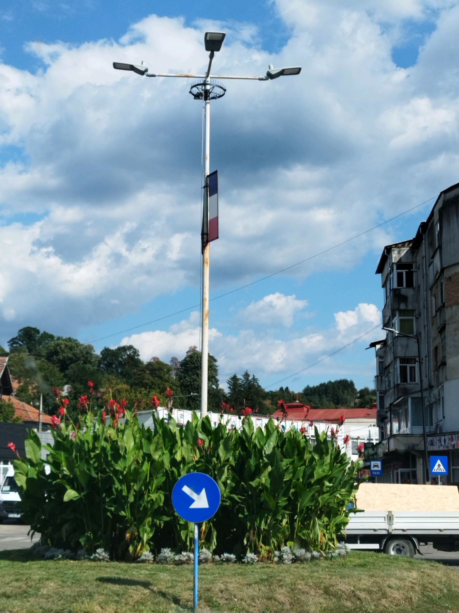 This is a medium shot, eye-level, outdoor photograph of a street scene in Curtea de Argeș, Romania, featuring a large roundabout with a tall lamppost, dense green foliage with red flowers, and a building.
Dominating the center of the frame is a tall, white lamppost with a rusted top section. It has two horizontal arms, each holding a modern-style lamppost head. A small Romanian flag is attached to the lamppost pole, displaying vertical stripes of blue, yellow, and red.
In the foreground, a circular bed of lush green plants with tall stalks and vibrant red flowers is in full bloom. The plants are arranged around the base of the lamppost. A blue circular road sign with a white arrow pointing diagonally to the left is mounted on a thin pole, also in the foreground. The ground around the plant bed is covered with green grass.
To the right of the roundabout, a multi-story, weathered concrete building stands. The building has numerous windows, some with balconies, and appears to be an apartment complex or commercial space. Two small blue traffic signs are visible on the side of the building. One is a white car icon on a blue square, and the other is a white pedestrian crossing symbol on a blue square.
A flatbed truck with a light-colored wooden cargo bed is parked to the right of the building and partially visible behind the foliage. The truck has visible wheels and a tire.
In the background, a dense line of green trees and smaller structures with red roofs can be seen. The sky is a bright blue with scattered white, fluffy clouds. The overall lighting suggests a sunny day. There are no people clearly visible in the scene.