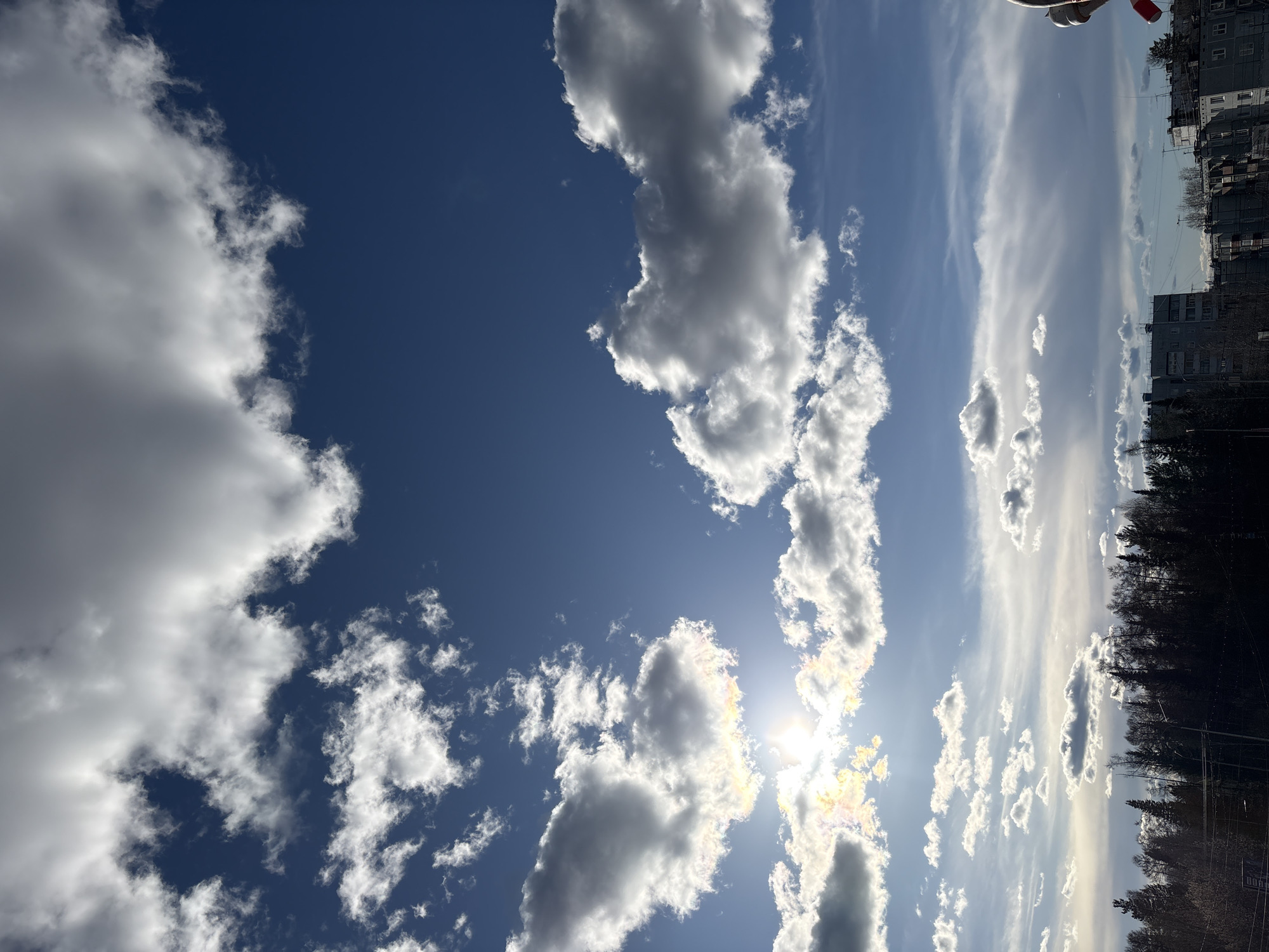 The image depicts a daytime sky over what appears to be Ust-Ilimsk, Russia. The sky is predominantly blue, scattered with cumulus clouds, varying in size and density, on the left side of the image. A string of lighter cirrus-like clouds are dispersed towards the right where the sun is positioned. The sun's rays filter through the clouds.
The horizon features a line of trees and buildings, indicating an urban environment. Building silhouettes and tree canopies are visible against the bright sky.