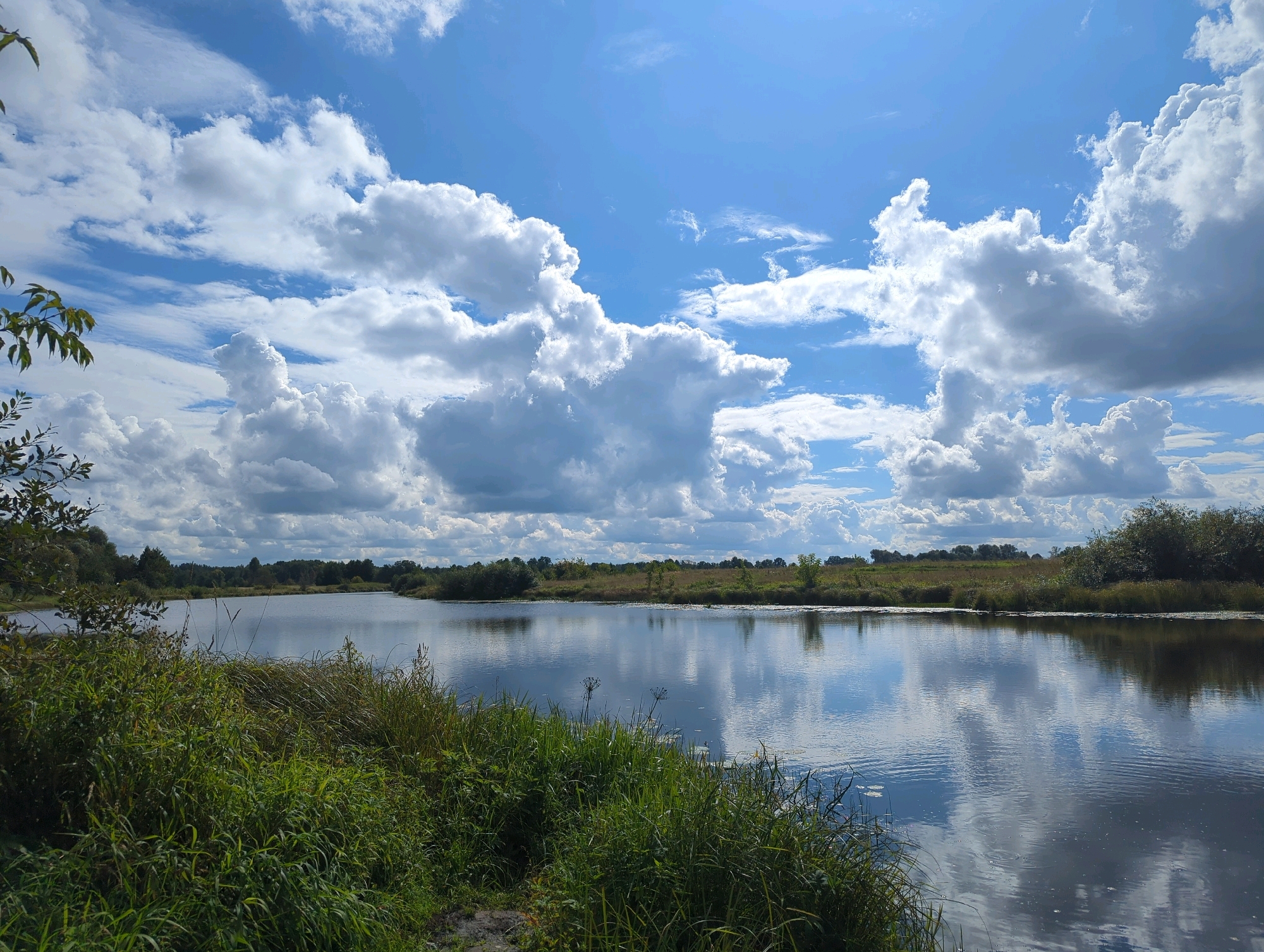 A wide-angle, eye-level shot captures a serene natural landscape under a partly cloudy sky. In the foreground, lush green grass and reeds line the bank of a tranquil body of water, likely a river or lake. The water reflects the dramatic white cumulus clouds and the deep blue sky, creating a mirror image of the heavens.
The middle ground features a dense line of trees and vegetation forming the far bank of the water. The trees are varied in height and color, suggesting a mix of deciduous and coniferous species. The horizon is low, emphasizing the vastness of the sky above.
The sky is a prominent feature, filled with large, fluffy white clouds against a bright blue backdrop. Sunlight filters through the clouds, creating a dynamic and slightly dramatic atmosphere.
The scene appears to be a natural park or undeveloped area, possibly on the outskirts of a city, but without specific landmarks, pinpointing a precise location within Vladimir, Russia, is not possible from the image alone. The overall impression is one of peaceful, untouched nature. There are no people or man-made structures visible in the frame.