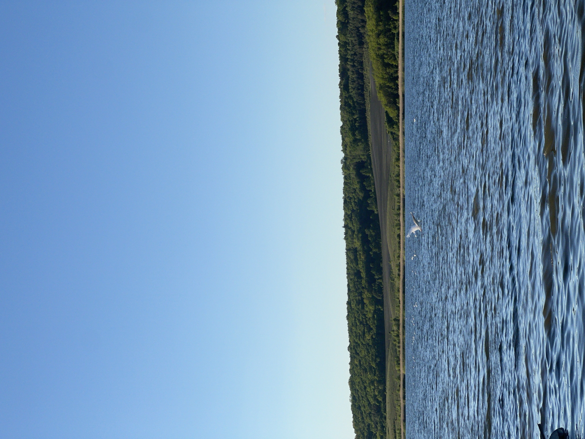 The image shows a body of water, likely a lake or a wide river, with a forested shoreline on the right. The water surface has wave patterns. A few white birds are visible flying over the water. The left side of the image is dominated by a clear blue sky. There are no people visible. The location, Reniv, Ukraine, cannot be confirmed with this image.