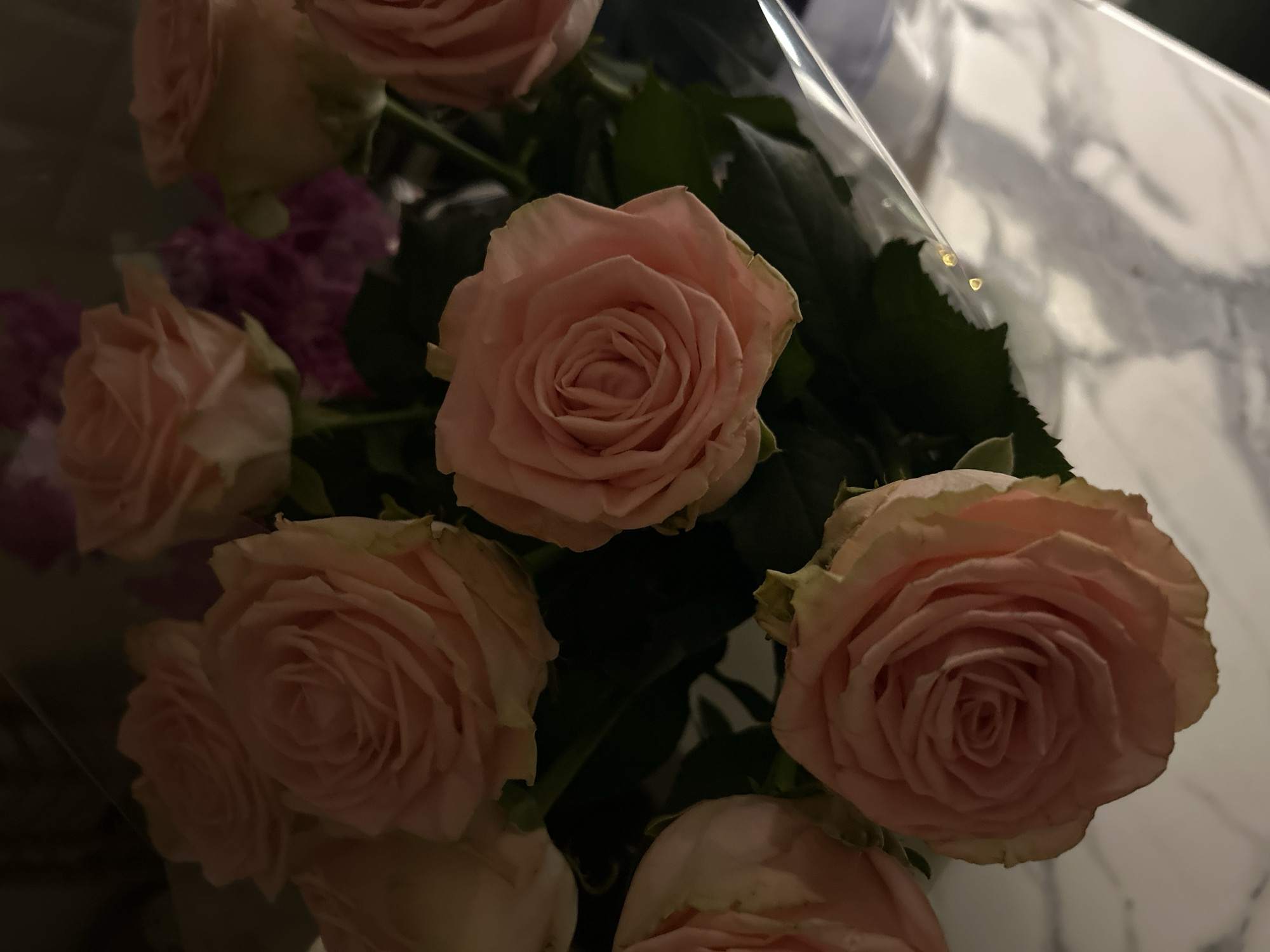 The image presents a top-down, close-up view of a bouquet predominantly featuring several light pink roses. The roses display full, layered petals, with some outer edges showing slight yellowing or browning. Dark green leaves are interspersed among the blossoms, providing contrast. Partially visible transparent plastic or cellophane wrapping encloses the lower and right portions of the bouquet, reflecting light. In the upper right background, out of focus, appear darker purple floral elements. The bouquet rests on a light-colored surface with gray veining, characteristic of polished marble. The lighting is soft and ambient, contributing to a somewhat dim overall impression. No people, discernible actions, or identifying architectural or geographical markers are present within the frame to indicate a specific location, including the city of Moscow, Russia.