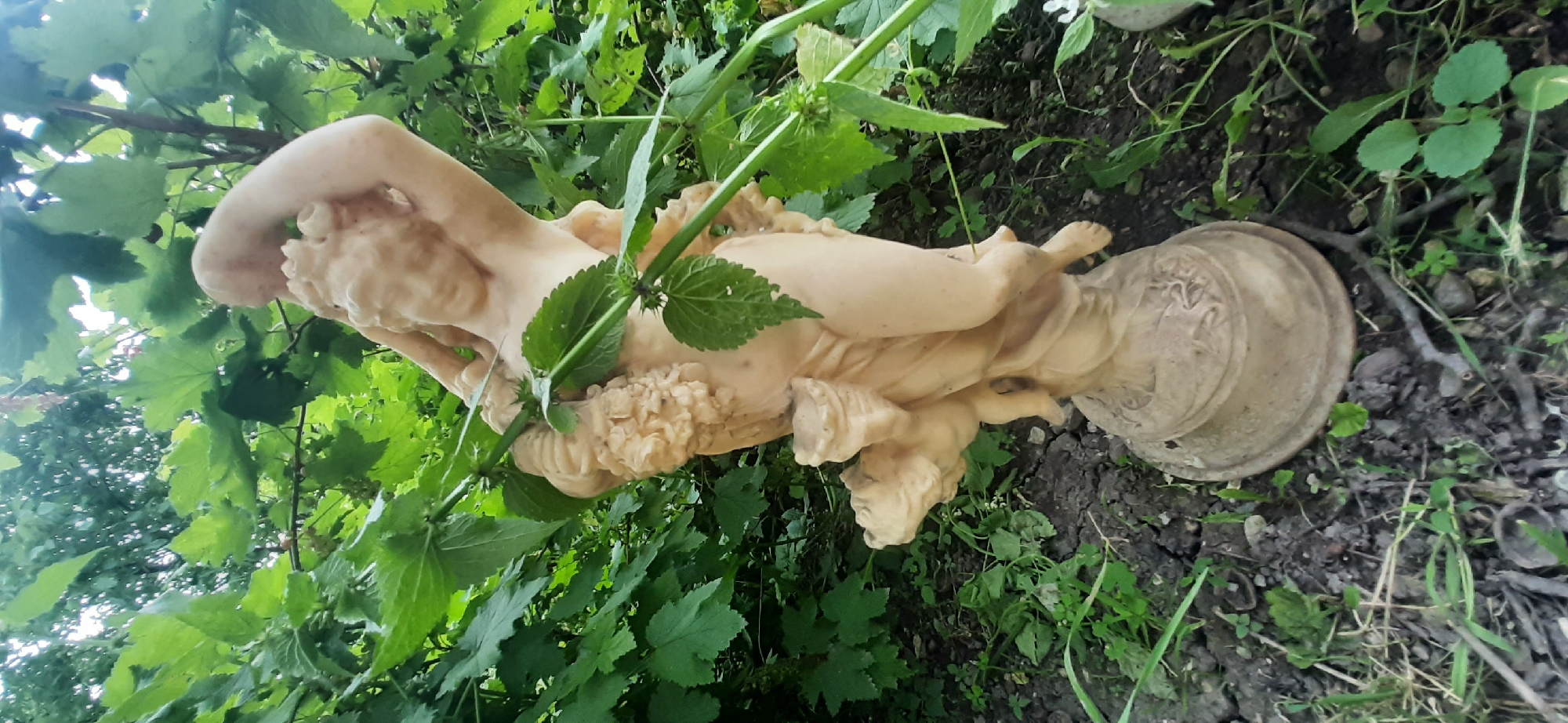 A light-colored, classical-style garden statue of a cherub holding a cluster of grapes stands amidst dense green foliage. The statue is positioned outdoors, with its base resting on cracked earth and scattered dry leaves. The cherub's body is angled, with one arm raised behind its head and the other supporting the grapes. Another smaller cherubic figure is partially visible clinging to the main statue's side. The background is dominated by lush green leaves and branches, suggesting an overgrown garden environment. The lighting is natural, with sunlight filtering through the leaves, creating a dappled effect. The overall scene is one of an aged, somewhat neglected garden, with the statue serving as a focal point within the natural overgrowth. The location is identified as Yessentukskaya, Russia.