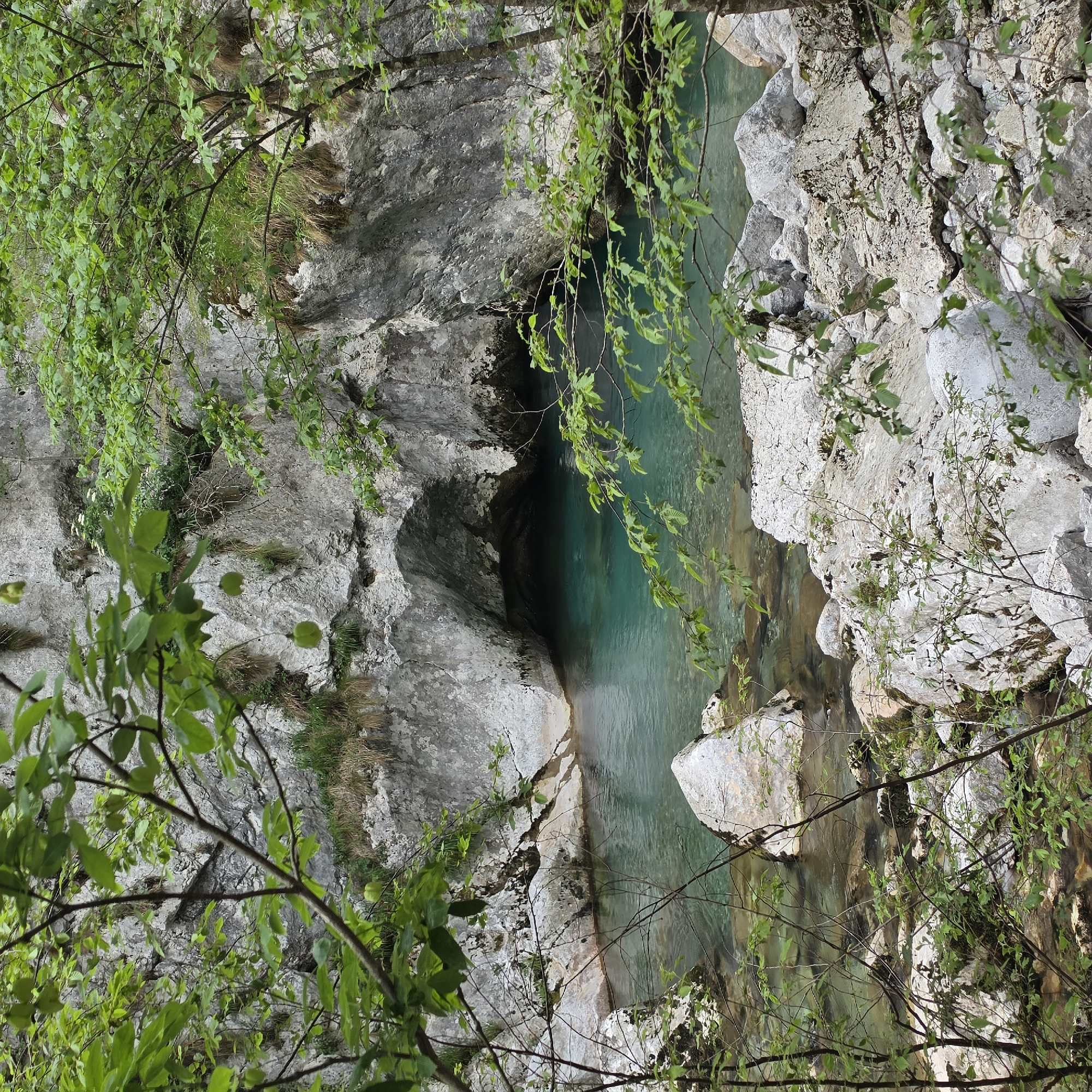 A narrow gorge with light gray rock formations contains a river with turquoise-colored water. The rock formations on both sides of the river are jagged and uneven, with some vegetation clinging to the surfaces. Trees with green leaves are visible along the edges of the image, partially obscuring the view of the gorge. The water appears clear in some areas, revealing the rocks beneath the surface. The image is taken from an elevated perspective, looking down into the gorge.
The location is within the city of Lazba, Montenegro.