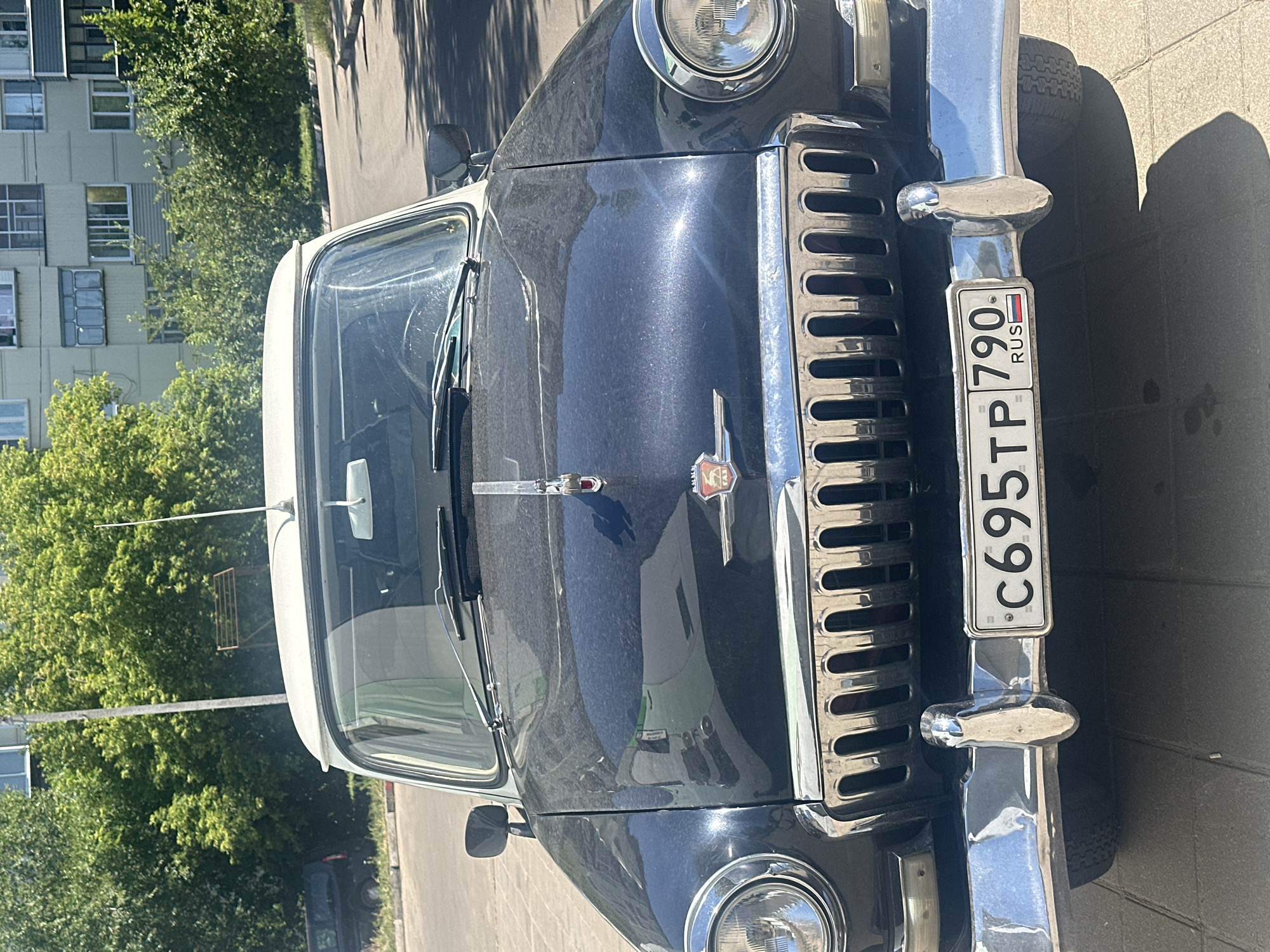 An eye-level, medium frontal shot captures a vintage dark blue and white GAZ-21 Volga sedan parked on a paved area, likely a sidewalk or parking lot, with a street and building in the background. The car, facing the camera, exhibits chrome accents on its grille and bumpers, a prominent hood ornament, and a white roof. A license plate, reading "C695TP 790 RUS", is mounted on the front bumper. The environment is sunny, with dappled light and shadows suggesting it's daytime. Lush green trees and a multi-story building with windows are visible behind the car. The image is a still photograph with no discernible human presence or activity.