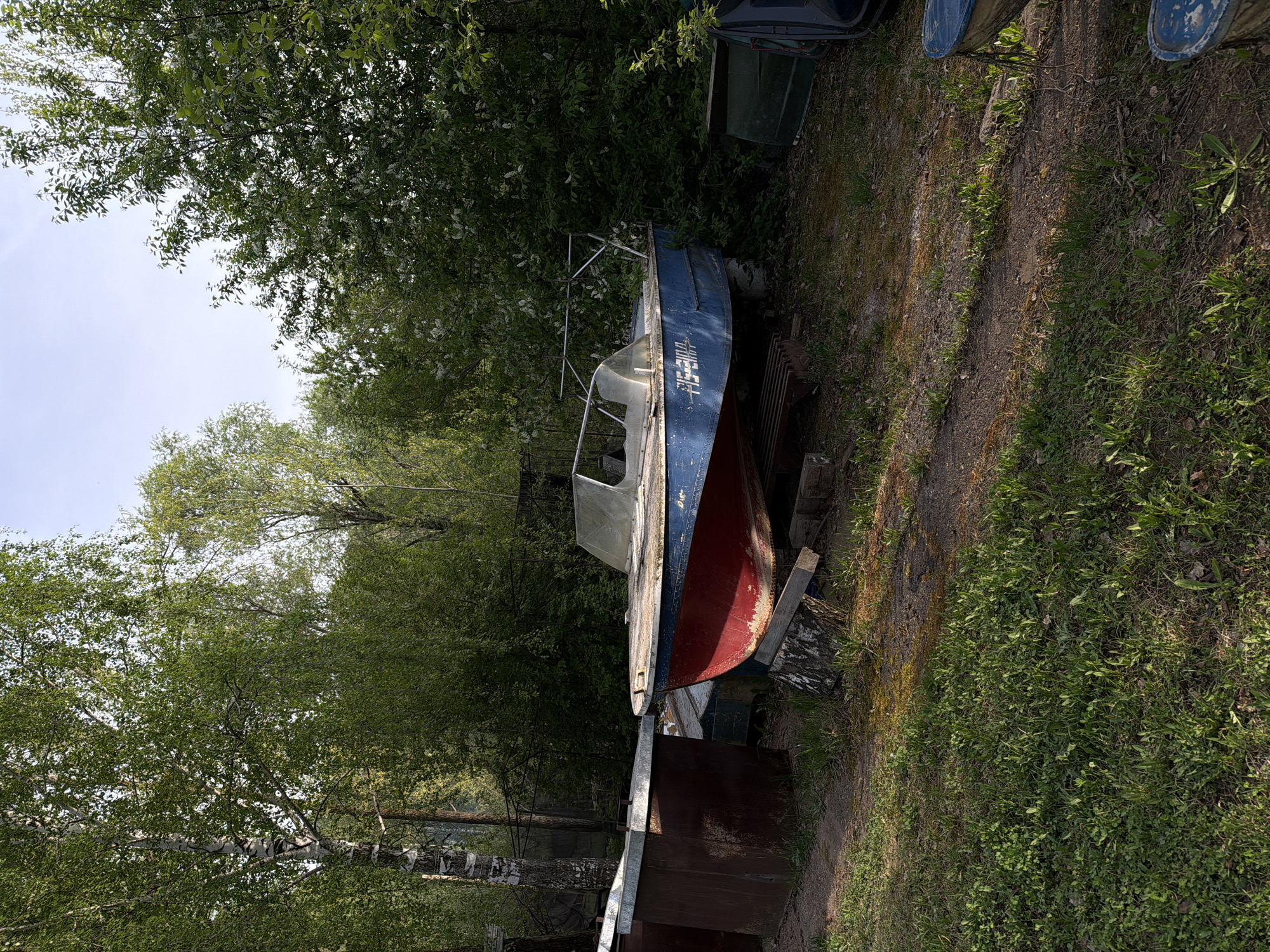 A weathered, blue and red boat rests on a makeshift support structure of wood and metal amidst a grassy area interspersed with trees and foliage. The boat's hull shows signs of age and wear. Surrounding the boat, the environment includes a combination of natural elements like trees and grass, and manufactured objects like metal containers and what appear to be plastic barrels. The scene is partially shaded by the tree canopy. The location is a city of Unknown, Unknown.