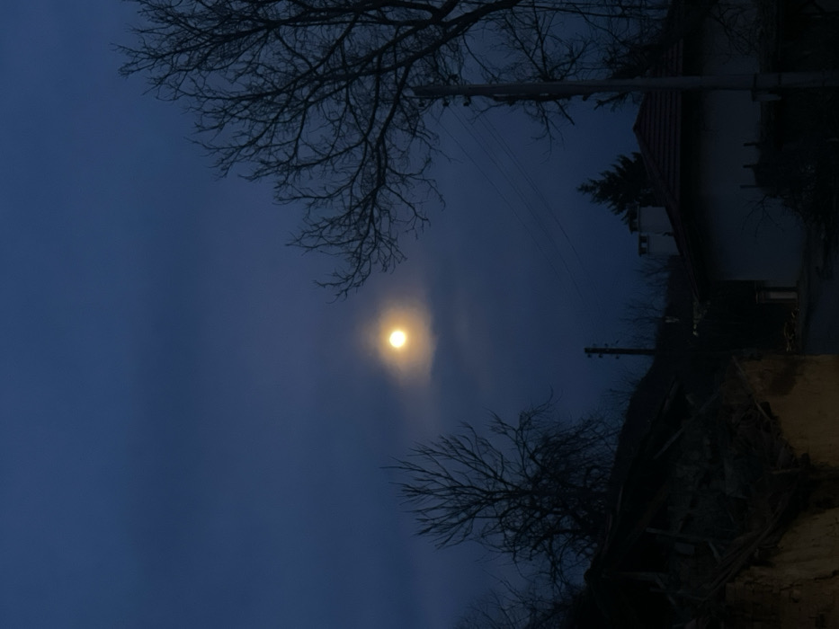 The image presents an exterior scene captured at night or twilight in Cherni Vrah, Bulgaria. A dark blue-grey, partially cloudy sky dominates the upper portion, featuring a prominent, bright yellow-white full moon centrally positioned, emitting a distinct glow through a translucent cloud layer. In the foreground, on the left, is a dilapidated structure with a partially collapsed roof revealing dark rafters, and a light-colored, possibly stucco, wall. To the left of the moon, a bare deciduous tree with intricate, dark branches stands silhouetted. To the right, another large, bare deciduous tree is visible. A dark utility pole with several horizontal wires extends vertically in the mid-ground on the right side. Beyond this pole and the foreground structure, a two-story house with light-colored walls, a dark reddish-brown tiled roof, and two visible chimneys is situated. A dark coniferous tree rises behind this house. A dark, possibly wet, paved road surface is visible in the lower mid-ground, extending towards the house. No people or active subjects are discernible within the frame.
