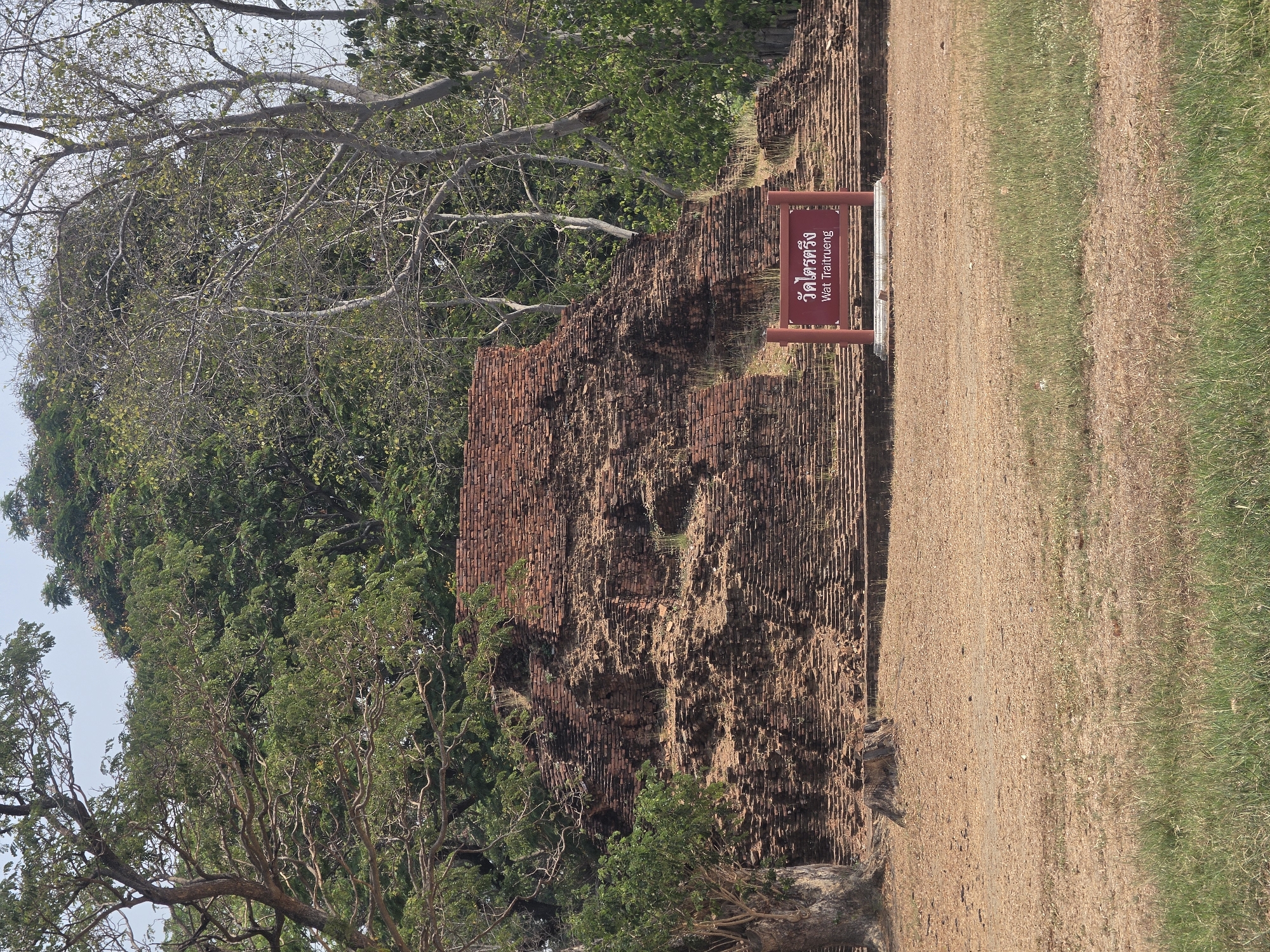 The image depicts a ruin in Phra Nakhon Si Ayutthaya City Municipality, Thailand. The ruin is made of red bricks, and is partially obscured by trees. A brown sign with Thai script and the English translation "Wat Traitrueng" stands next to the ruin. The ground is covered with brown dirt and green grass.