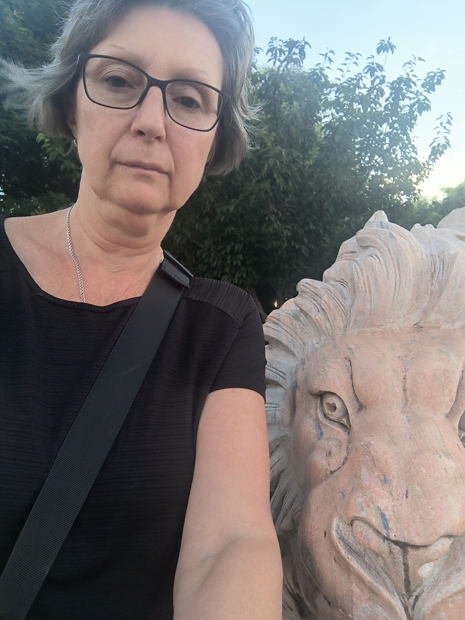 An outdoor medium shot shows a woman with short, gray hair and glasses, wearing a black t-shirt and a silver necklace. She is standing next to a stone sculpture of a lion's head. The woman is on the left side of the frame, looking directly at the camera. Her right arm is extended, holding the camera for the selfie. The lion sculpture, on the right, is weathered and has a stern expression. Behind them, lush green trees and a light blue sky are visible. The scene is likely in a park or garden setting within the city of Mykolaiv, Ukraine.