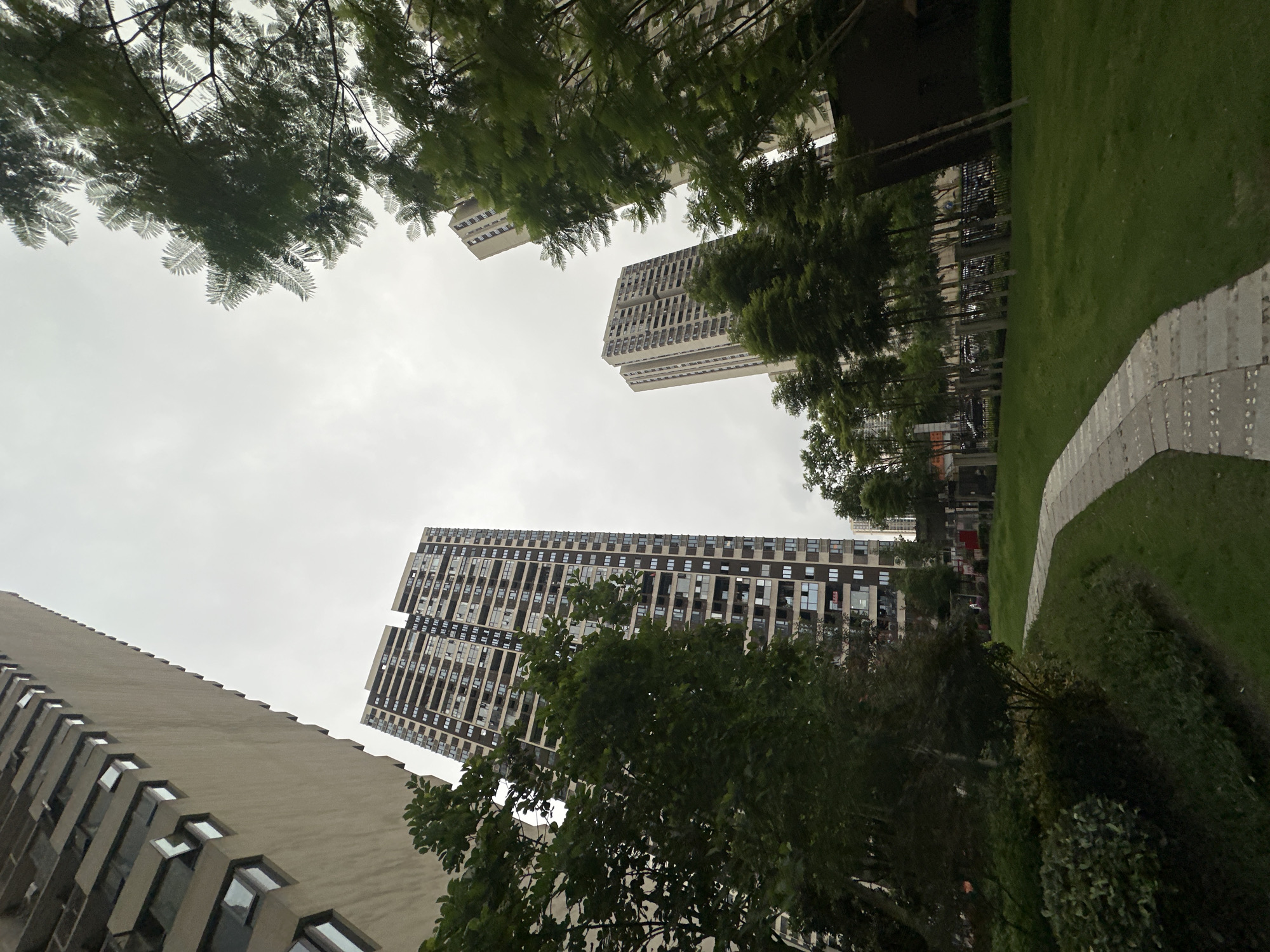 The image depicts a view looking up at several buildings and trees in Chongqing High-tech Zone, China. Tall, modern buildings with repetitive window patterns dominate the background, under an overcast sky. Lush green foliage from trees frames the top and bottom of the image. A grassy area and a light gray paved path are visible on the right side of the image.