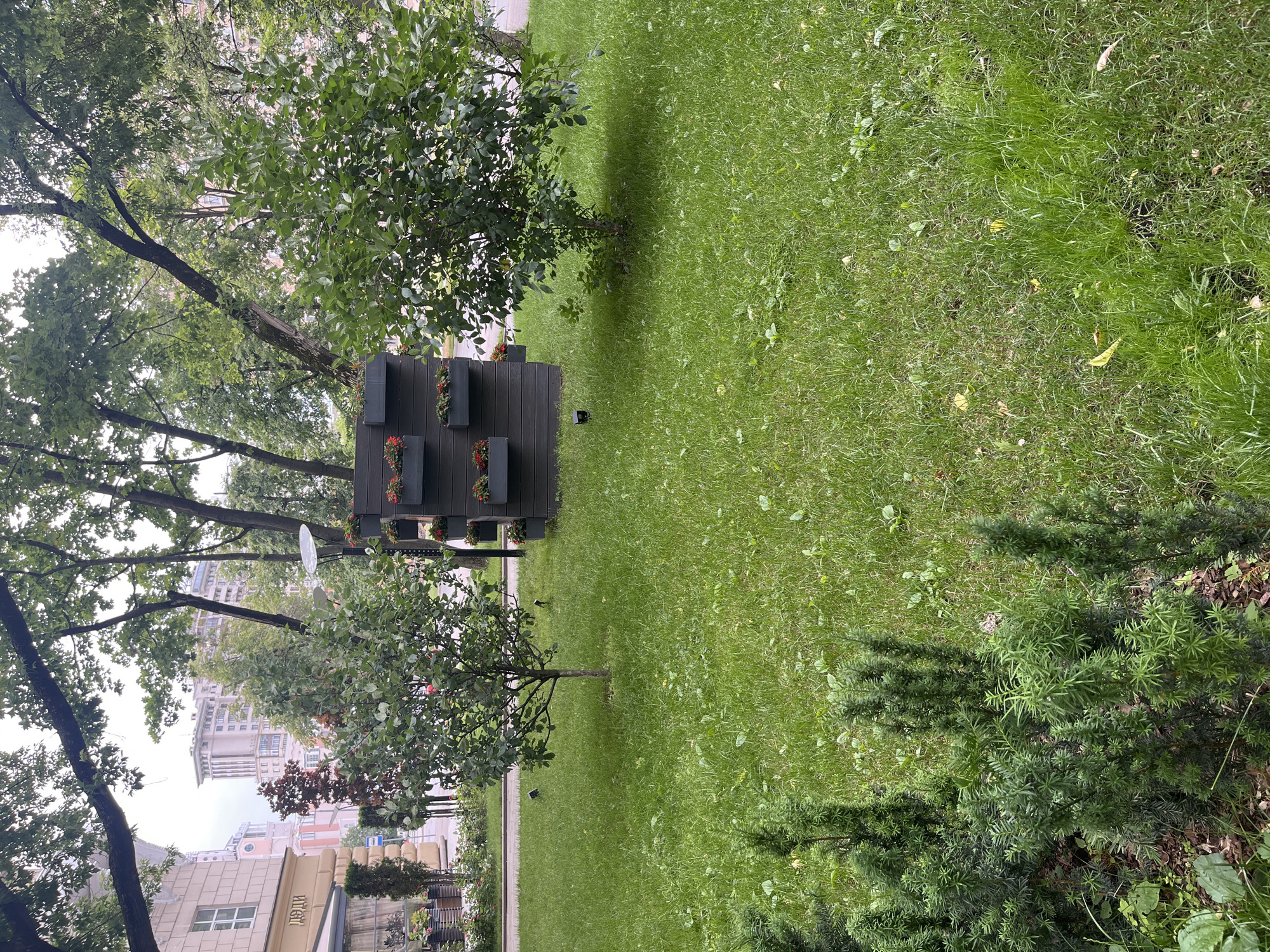 A vertical, medium-shot photograph captures a lush green lawn in a park-like setting, possibly in a city. In the center of the frame, a dark, rectangular planter box structure stands, adorned with small flower boxes holding red flowers. To the left of this structure is a small, leafy tree with a slender trunk, and to the right, another, larger tree with a fuller canopy. In the foreground, several dark green, bushy plants are visible on the left side. Beyond the lawn and trees, a building with light-colored walls and a peaked roof can be seen, along with other distant structures. The sky is overcast and grey.