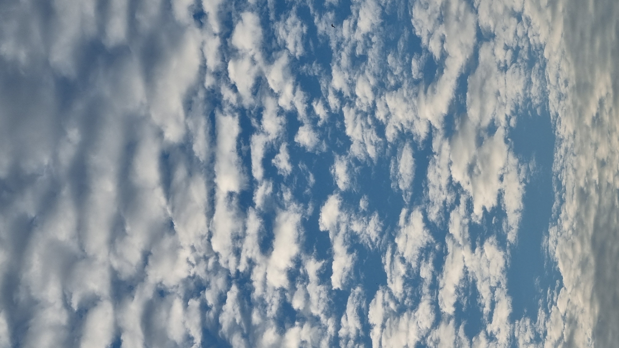 This is a full-frame, eye-level shot of a bright blue sky filled with scattered white and gray clouds. The clouds are textured and appear to be in layers, with some denser formations and some more wispy ones. The lighting suggests it is daytime, possibly mid-morning or afternoon. There is no indication of the city of Vysokoe, Russia, or any people, subjects, objects, or actions.