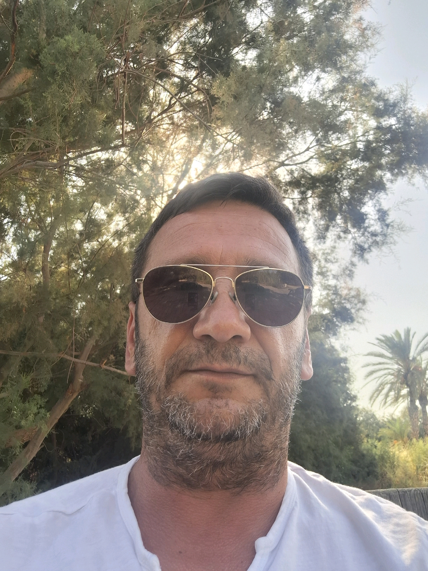 A close-up, front-facing, selfie-style, medium shot shows a man with a salt-and-pepper beard and stubble, wearing aviator sunglasses with gold frames and a white t-shirt. He is positioned in the foreground, with out-of-focus greenery and trees behind him, suggesting an outdoor setting. The lighting indicates it is daytime, with the sun filtering through the leaves. The reflection in the sunglasses shows a blurry image of what appears to be a landscape, possibly with buildings.
While the image itself does not contain explicit markers of Yeruham, Israel, the environment with its arid vegetation and palm trees could be consistent with the landscape found in and around the city. The general ambiance suggests a warm, sunny climate. The man's facial expression is neutral. No specific actions or interactions are depicted. The image is framed to focus primarily on the man's upper body and face.