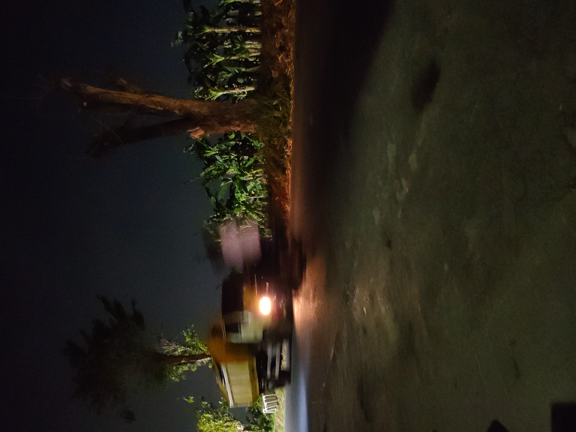 At night, a yellow dump truck is captured in motion on a road in Surabaya, Indonesia, its headlights illuminating the dark. To the right of the road, a row of banana trees stands tall. In the foreground, a blurred human figure can be seen in front of the truck, suggesting movement and activity. The overall scene depicts a dimly lit, rural or semi-urban road at night, with the truck and the figure as the primary subjects of interest.