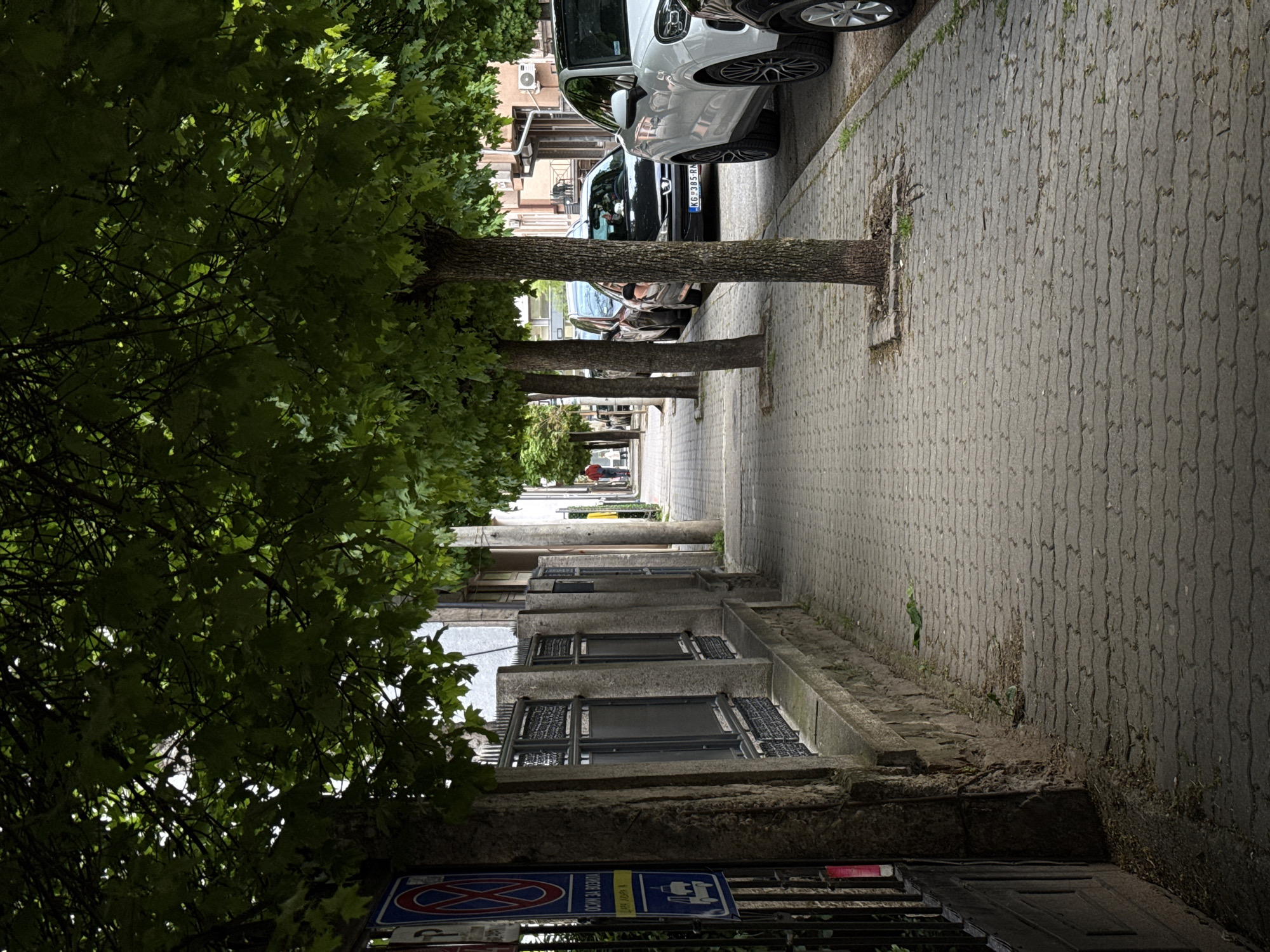 The image captures a side view of a tree-lined urban street, illuminated by diffused daylight, suggesting an overcast day or dappled light.
On the left, a row of mature deciduous trees with dense, green foliage forms a canopy, partially obscuring the buildings behind them. Their rough-barked trunks emerge from square openings in the sidewalk.
To the right, a grey paved sidewalk with an interlocking brick pattern extends into the distance, appearing to gently slope uphill. Several cars are parked along the street. The closest vehicle is a light-colored SUV, followed by a dark sedan with a license plate visible as "KG 2385 RX". More cars are parked further down the street.
Behind the trees on the left, multi-story buildings with balconies are partially visible. Another building facade can be seen further down the street on the right. In the far distance, a lone person, dressed in red, walks on the sidewalk.
In the lower left foreground, a blue and red "no parking" sign is clearly visible. Below it, a yellow rectangular sign displays the text "ULAZ ZA VOZILA," which translates from Serbian as "Entrance for vehicles." A blue sign featuring a truck symbol is also partially seen. The scene depicts a typical street environment with parked cars and pedestrian activity.