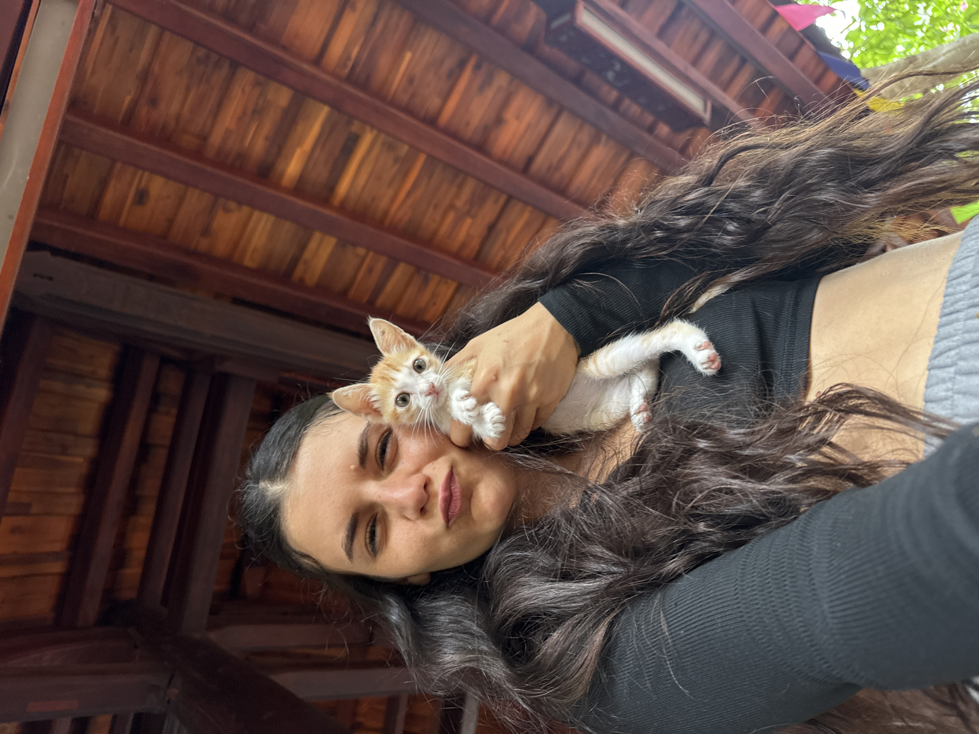 A young woman is captured in a close-up, diagonally oriented shot, holding a small ginger and white kitten. She has long, dark, wavy hair, and is wearing a black long-sleeved top or crop top. Her head is tilted, and she looks towards the camera with a relaxed, slightly smiling expression. The kitten, held in her right arm, has soft ginger and white fur, and appears curious, looking towards the viewer. Its small pink paw pads are visible.
The setting appears to be under a rustic wooden roof structure, with distinct dark beams and lighter wooden planks, suggesting an indoor or covered outdoor area. In the upper right background, glimpses of bright green foliage and colorful flags or bunting (pink, yellow, blue) can be seen, indicating an outdoor environment, possibly a garden or patio. The natural light suggests it is daytime. The overall mood is affectionate and warm. No text is visible in the image. The scene is consistent with a location in Mũi Né, Vietnam, known for its natural beauty and outdoor settings.