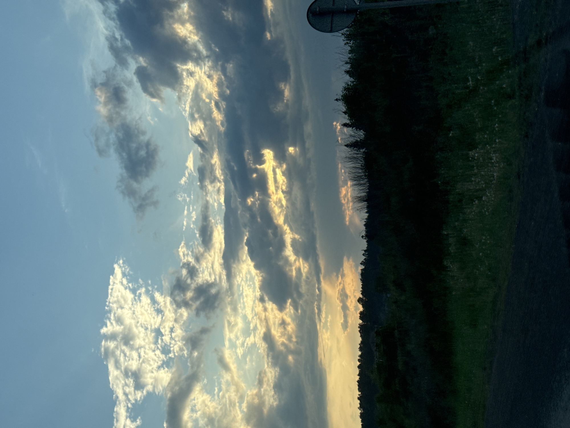 The image depicts a dusky landscape with a dramatic sky. The sky is filled with a mix of light and dark clouds, with patches of golden sunlight breaking through, suggesting either sunrise or sunset. Below the sky, a dense line of dark trees forms a silhouette against the horizon, indicating a forested or densely vegetated area. In the foreground, there is a dark, unpaved surface, possibly a dirt road or path, with some green grass and wildflowers growing alongside it. To the right of the image, a circular sign mounted on a pole is partially visible, suggesting a roadside location. The overall impression is one of a rural or semi-rural environment at dusk. The location is identified as Malaya Kuskunka, Russia. There are no people or animals visible in the scene.