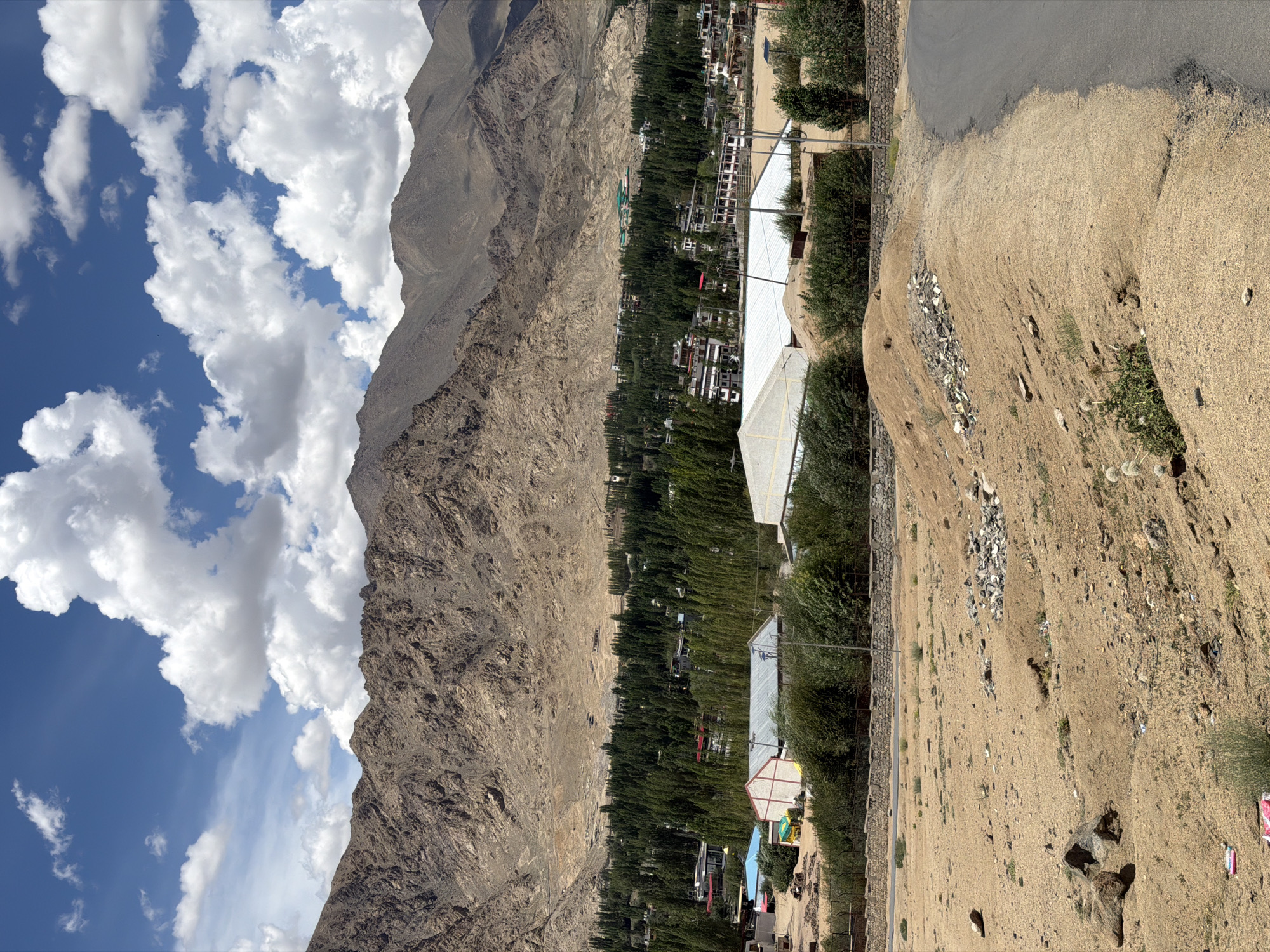 The image captures a panoramic view of a village nestled in the valley of Leh, India, against a backdrop of rugged, tan-colored mountains. The sky above is a vibrant blue, dotted with fluffy white clouds. In the foreground, a dirt path slopes upwards, with scattered rocks and sparse vegetation. Beyond this, a line of tall, dark green trees forms a dense forest, separating the foreground from the village. Within the village, various buildings are visible, including houses with red and white roofs, and larger structures with white sheeting, possibly tents or covered markets. A paved road curves through the landscape on the right side of the image. The overall impression is one of a remote, mountainous settlement under a bright, clear sky.