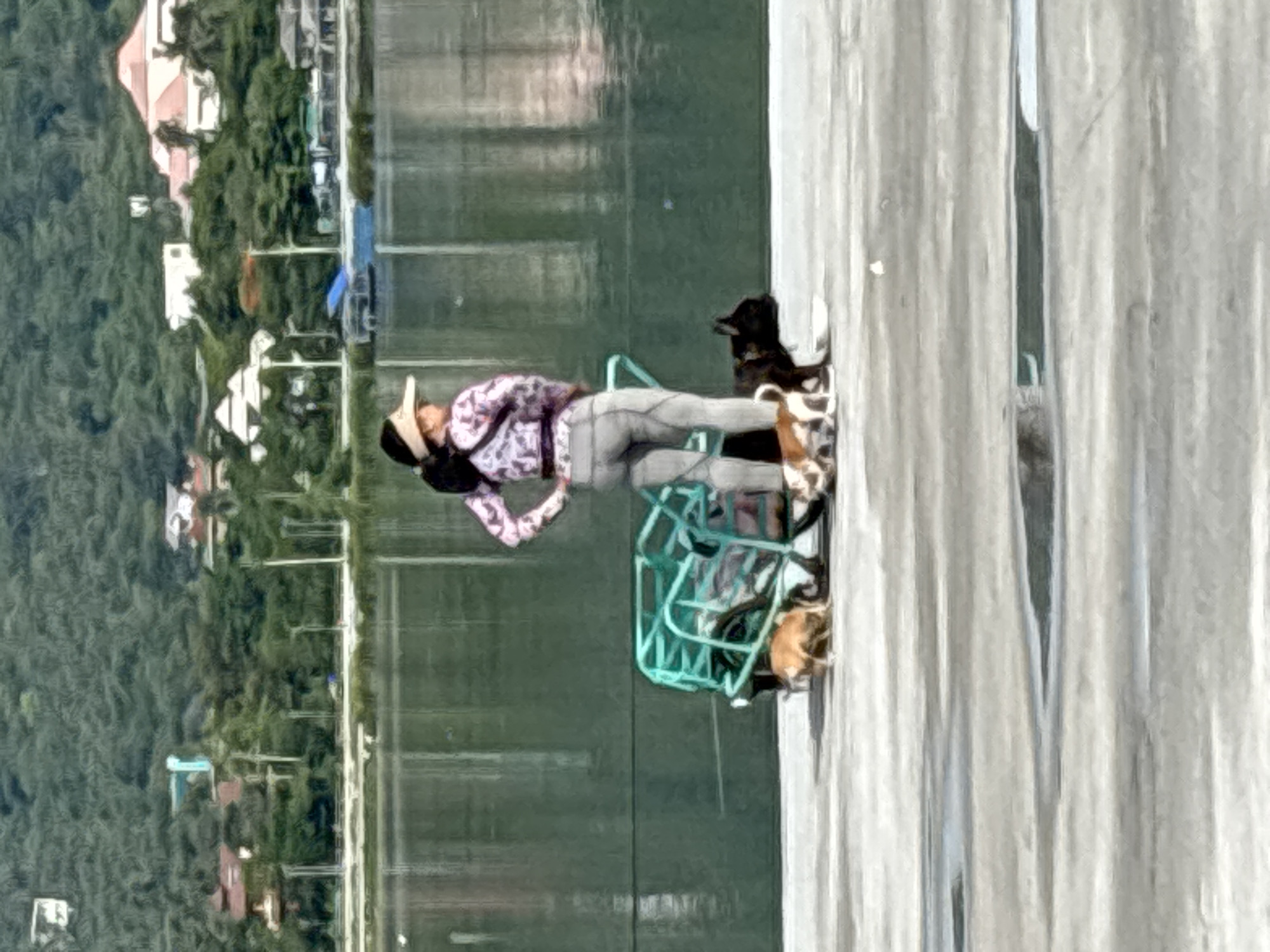 A woman with dark hair pulled back and wearing a visor stands with her hands on her hips, facing away from the camera. She is dressed in a patterned long-sleeved shirt and grey leggings. Beside her is a teal-colored cart with a cage-like structure. Three dogs are present: one small brown dog stands in front of the cart, a small white and brown dog stands to the right of the cart, and a black dog is positioned to the right of the white and brown dog. The scene takes place outdoors on a paved surface, with a body of water behind the woman and cart. In the background, a tree-covered hillside with buildings is visible. The lighting suggests it is daytime.