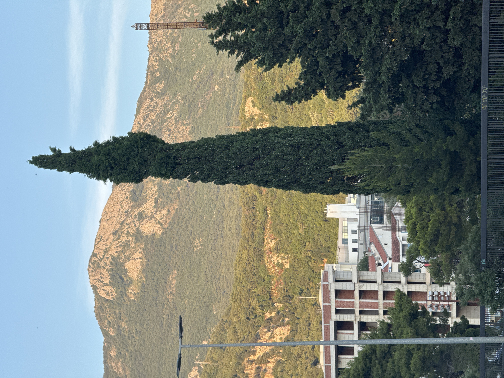 The image depicts a scenic view of the city of Boreti, Montenegro, with a prominent tall cypress tree standing in the foreground. The tree is dark green and slender, reaching towards the sky. Behind the cypress, a mountain range covered in lush green vegetation and rocky outcrops dominates the background. The sky is a clear blue with a few faint wisps of clouds.
In the mid-ground, several buildings are visible. To the left, a partially constructed building with a visible brick and concrete frame suggests ongoing development. Other buildings with red-tiled roofs and white facades are interspersed with trees. A street light stands to the left of the frame, and a metal fence runs along the bottom. Further back, a tall, lattice-like structure, possibly a radio tower, can be seen on the right side of the mountain. The overall impression is one of a developing urban area nestled against a natural mountainous landscape.