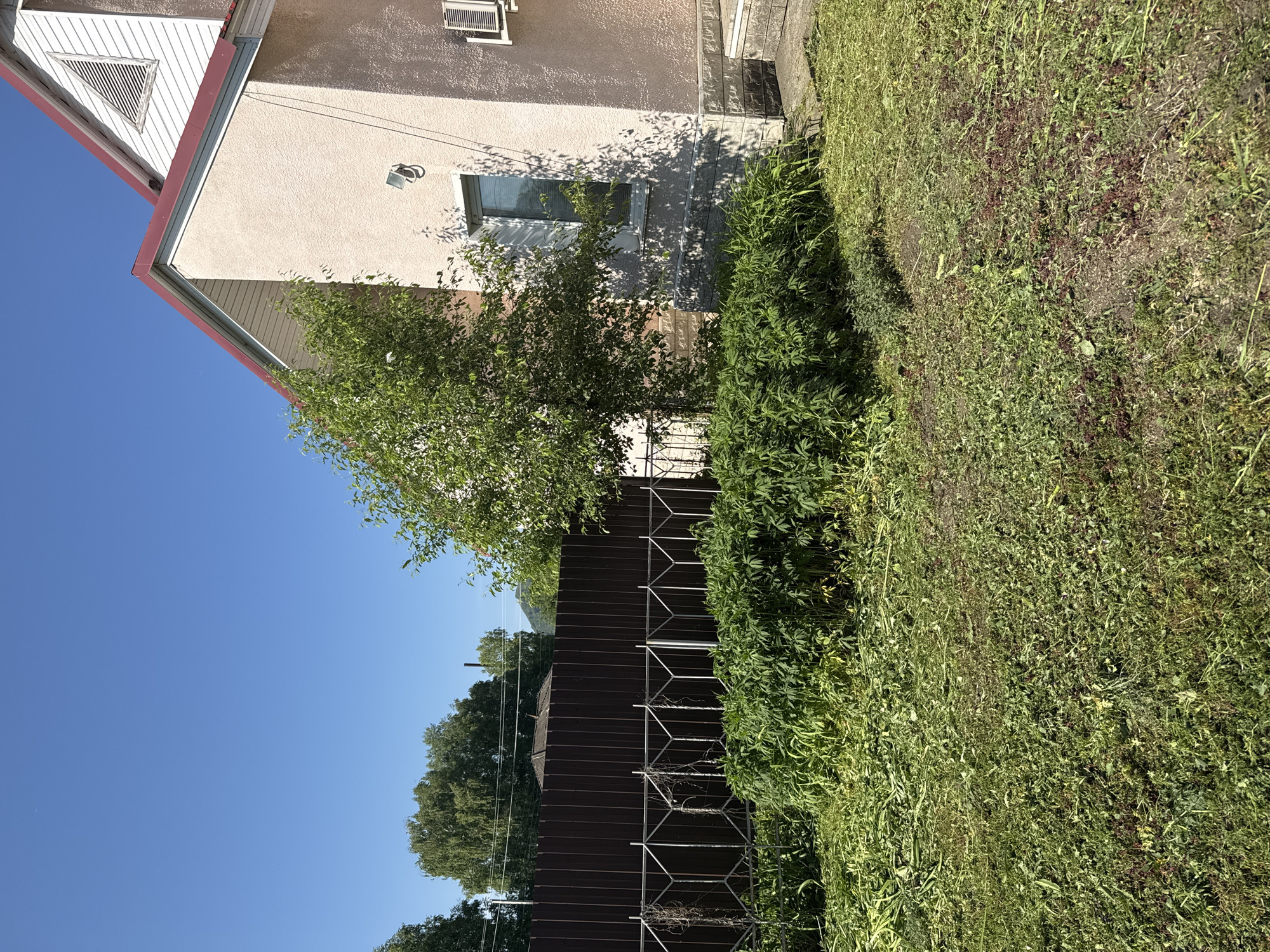 A sunny daytime scene depicts the side of a pale peach-colored house with a red-tiled roof, situated in Soloneshnoye, Russia. The house has a visible window with reflections of trees, a light fixture, and an air conditioning unit mounted on the exterior wall. Adjacent to the house is a dark brown wooden fence with a decorative metal railing in front of it. Behind the railing, a dense green shrubbery grows, with a young tree to its left. The ground in the foreground is covered with freshly cut grass, indicating recent lawn maintenance. The sky is clear and blue.