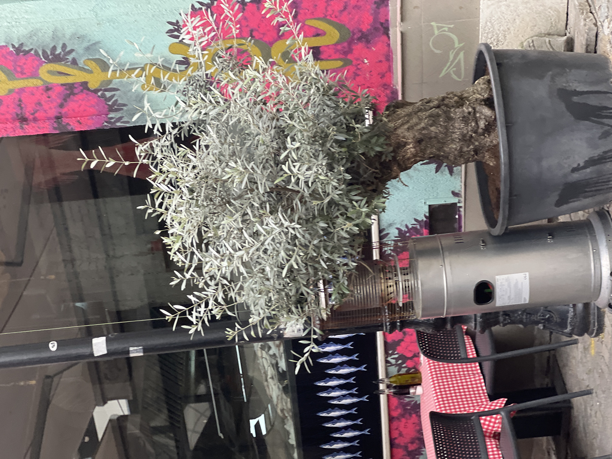 The image shows an outdoor seating area in Plovdiv, Bulgaria. A plant with silver-green leaves is in a black pot next to a cylindrical metal patio heater. A black pole runs horizontally through the left side of the image. A table with a red and white checkered tablecloth and black chairs are visible. A window with a mural painted on the adjacent wall is in the background, featuring pink, yellow, and purple colors. A black board with fish printed on it is also present.