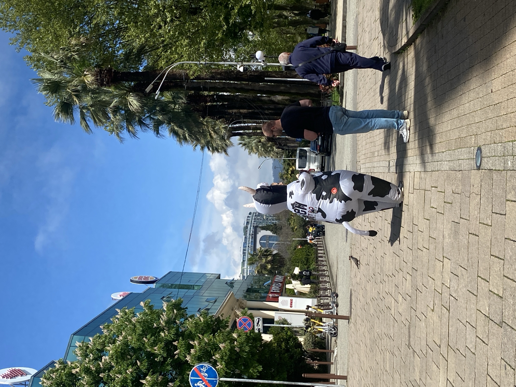 The image captures a scene on a paved sidewalk in Sochi, Russia, with the city skyline visible in the background. In the foreground, a person is dressed in an inflatable cow costume, positioned between the camera and two men. One man is wearing a black shirt and light blue jeans and appears to be looking down. The other man is wearing a navy jacket.
To the left, a modern glass building with signage indicating Burger King is partially obscured by a tree. Signs indicating a bicycle prohibition are near the building. In the distance are palm trees and other urban elements such as streetlights and a variety of vehicles. The sky is blue with scattered clouds.