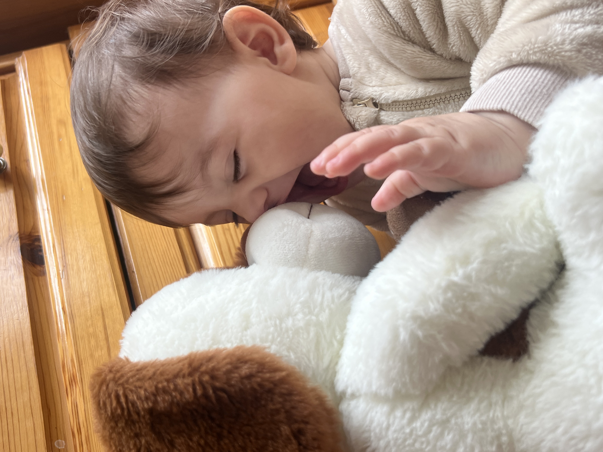 The image depicts an indoor close-up scene situated in Elena, Bulgaria. A young child, dressed in a cream-colored zippered fleece jumpsuit, is positioned on the right, engaging with a stuffed animal. The child's eyes are closed, and their mouth is open wide, with the tongue extended, making direct contact with the nose of the plush toy. The child's left hand is partially visible, raised with fingers slightly curled near the toy. The stuffed animal, occupying the left side of the frame, is predominantly white with a brown patch over what appears to be an ear, characteristic of a dog, and possesses a soft, fluffy texture. The background consists of light-brown wooden paneling or furniture with horizontal lines and visible wood grain.