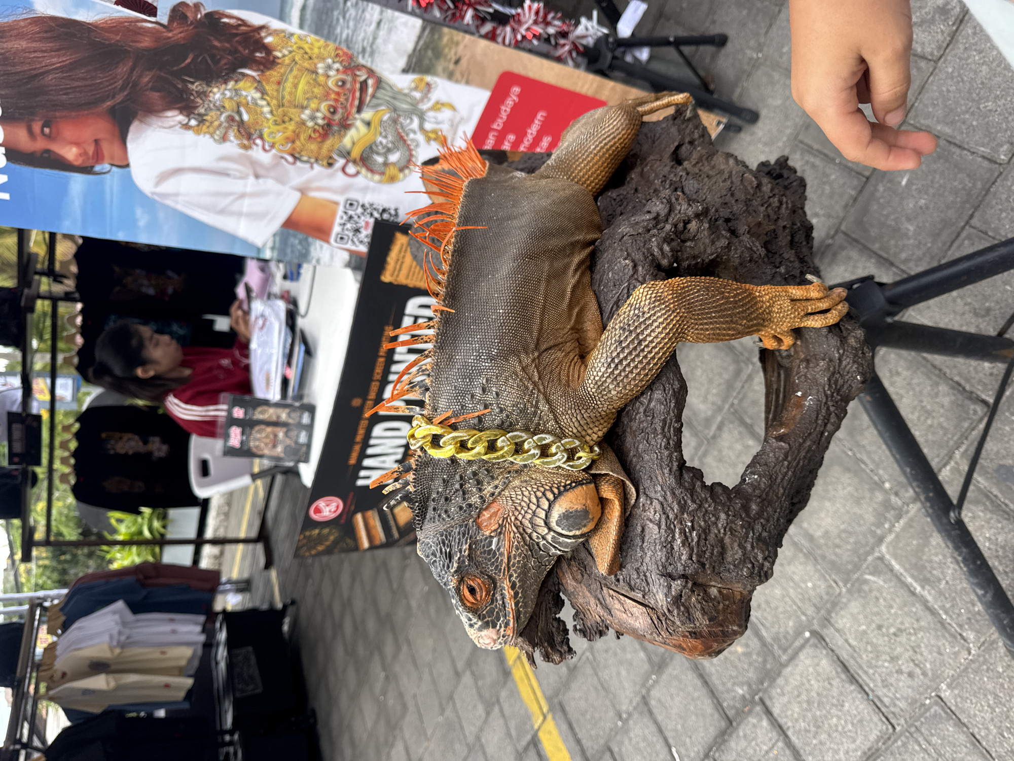 An iguana with orange spikes and a gold chain around its neck rests on a piece of driftwood. The driftwood is mounted on a black tripod. In the background, a street market is set up with stalls displaying t-shirts and other merchandise. A woman is visible behind a table, and a child's hand is reaching towards the iguana. The scene appears to be in Kuta Selatan, Indonesia, with typical street paving and tropical greenery visible.