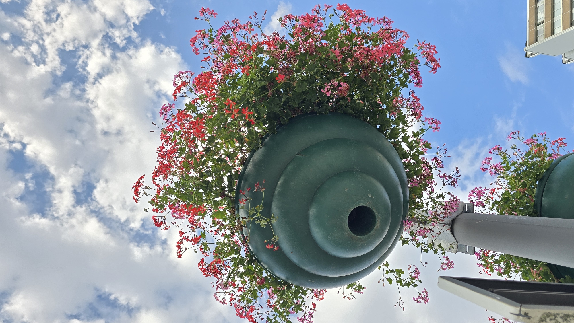 This is a low-angle, upward-facing shot of a street lamp decorated with a large, dark green, multi-tiered planter overflowing with red and pink flowers. The planter is positioned above a grey pole. The background is a bright blue sky with scattered white clouds. The scene appears to be in an urban environment, possibly a city like Antwerp, Belgium, given the presence of a building with architectural details visible in the lower right corner. There are no people or animals in the frame. The focus is on the hanging planter and the vibrant flowers against the sky.