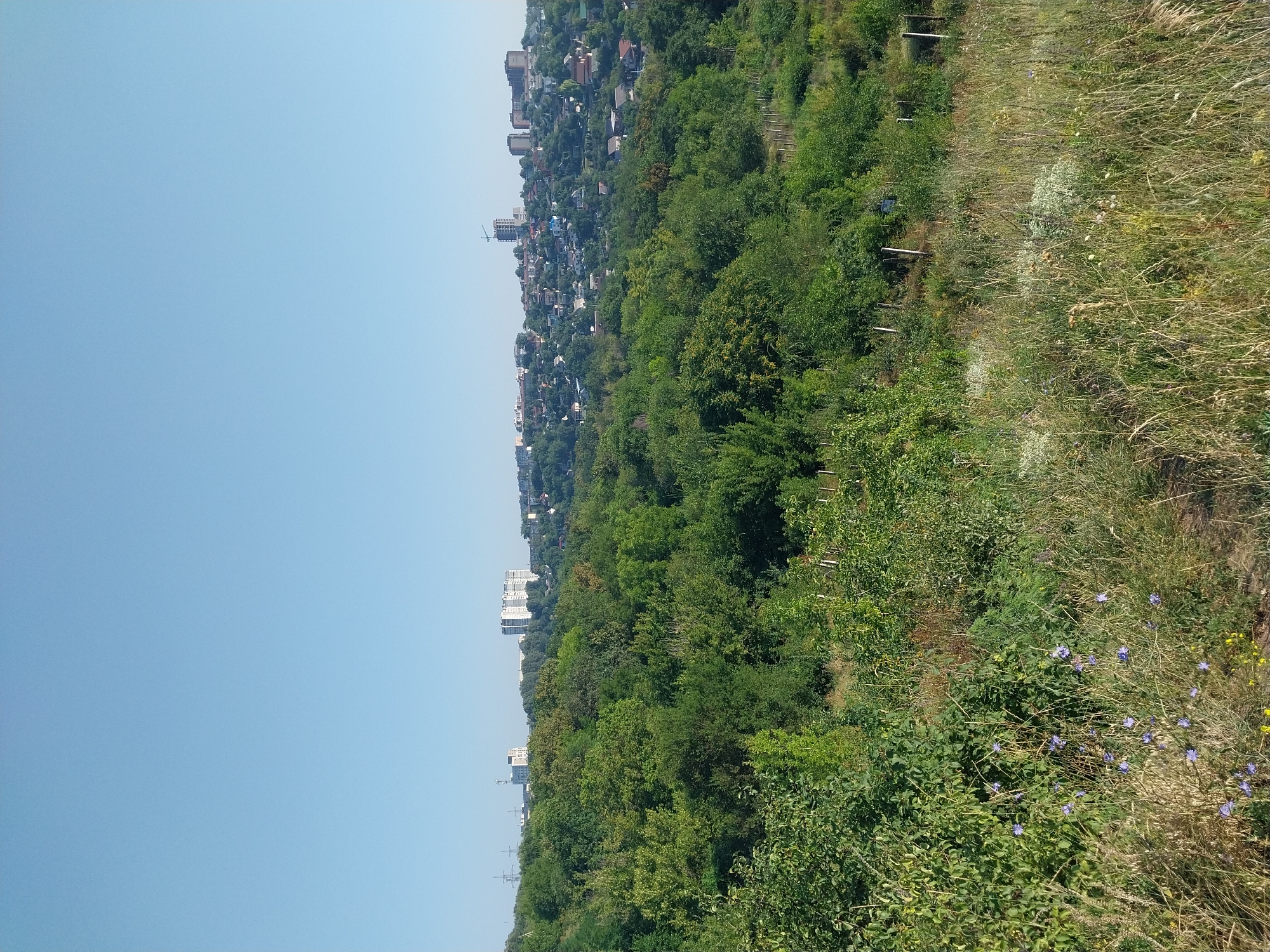 The image depicts a panoramic view of a cityscape against a clear blue sky. In the foreground, a grassy hillside is covered with dry grass and scattered wildflowers, including small purple flowers. Behind this, a dense forest of lush green trees occupies the middle ground, with various shades of green indicating different types of foliage and heights.
In the background, a residential area is visible, characterized by numerous houses with red and brown roofs, interspersed with smaller trees and vegetation. Several larger, modern buildings, including apartment complexes, are prominent on the horizon, along with some construction sites featuring cranes. Power lines and utility poles are also visible in the distance. The overall impression is of a city with significant green spaces, where urban development blends with natural landscapes. The scene is captured under bright daylight, suggesting fair weather conditions. The location is identified as Dnipro, Ukraine.