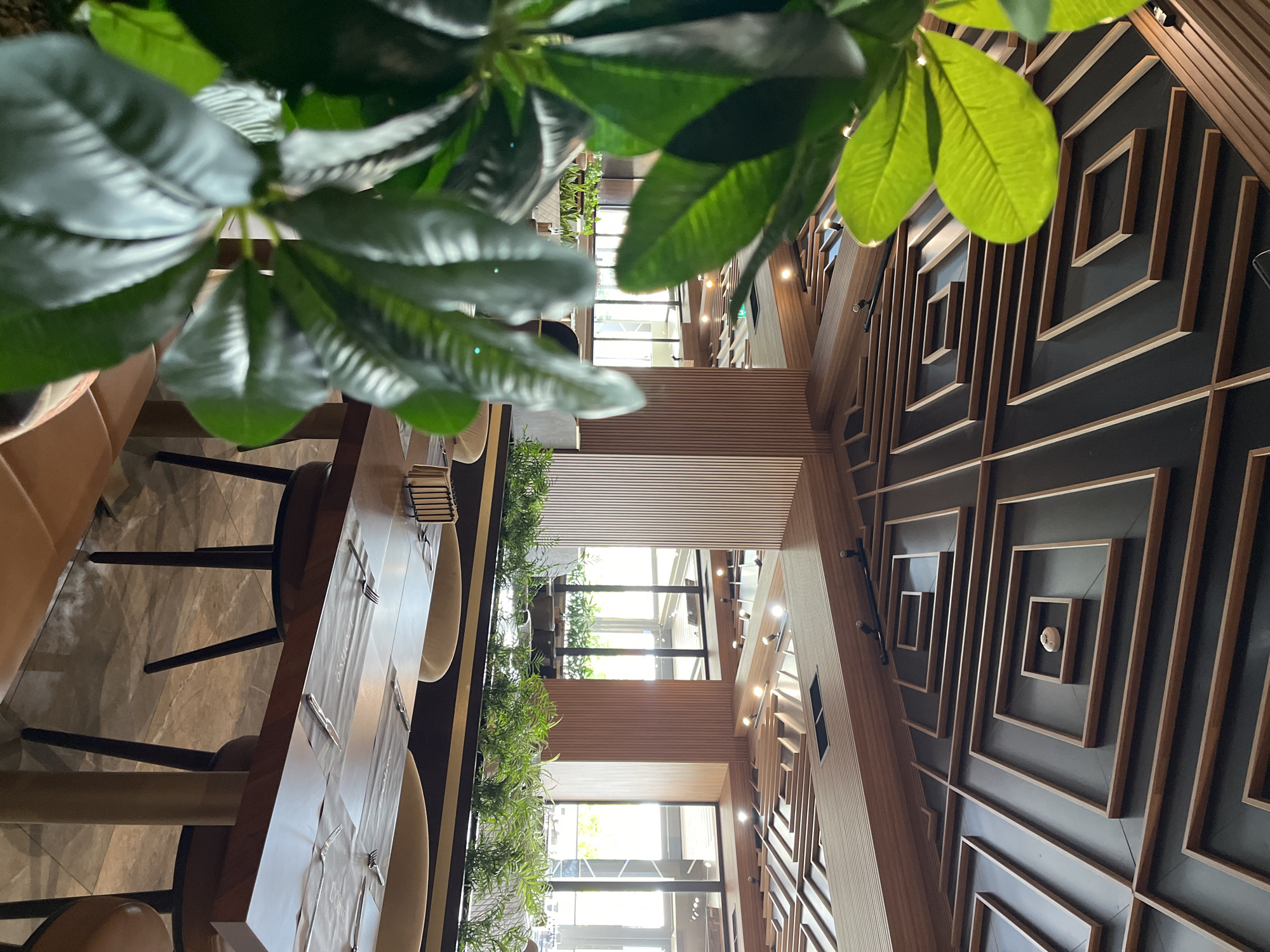 This media file depicts an indoor scene, likely a restaurant or cafe, with a contemporary design. The foreground is dominated by lush green leaves of a plant, obscuring part of the view. Beyond the foliage, a long dining table is set with cutlery and placemats, suggesting a meal is about to be served or has just concluded. The table is surrounded by chairs, some of which are visible.
The background reveals a striking interior design characterized by dark walls adorned with a geometric pattern of wooden frames, creating a sense of depth and visual interest. The lighting appears to be artificial, with spotlights visible on the ceiling. Large windows in the background allow natural light to filter in, illuminating the space and offering glimpses of an outdoor area with greenery. The overall ambiance is modern and sophisticated.
There is no discernible activity or event taking place, nor are any people clearly visible. The time of day is not explicitly indicated, but the presence of natural light suggests it could be daytime. The location is identified as Shumen, Bulgaria. No visible text is present in the media file.
