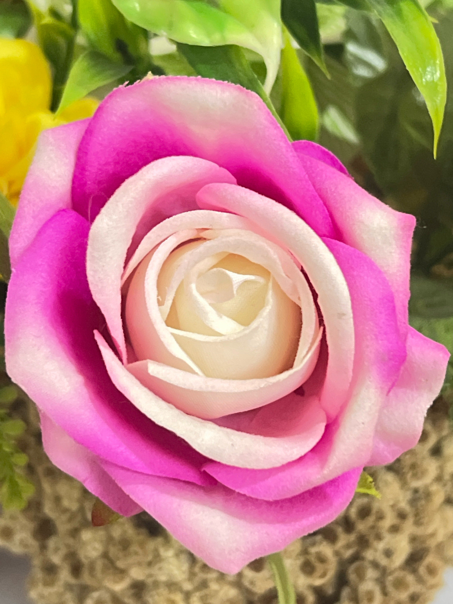 A close-up, high-angle shot captures a vibrant pink and white rose in bloom. The rose's petals spiral inward, revealing a creamy white center. Out-of-focus green leaves and a hint of yellow bloom are visible in the background, suggesting a garden or floral arrangement. The texture of the rose petals appears soft and velvety, with subtle variations in shading from deep fuchsia to pale pink and white. The overall impression is one of natural beauty and delicate detail. This image does not depict any specific location in Denpasar, Indonesia.