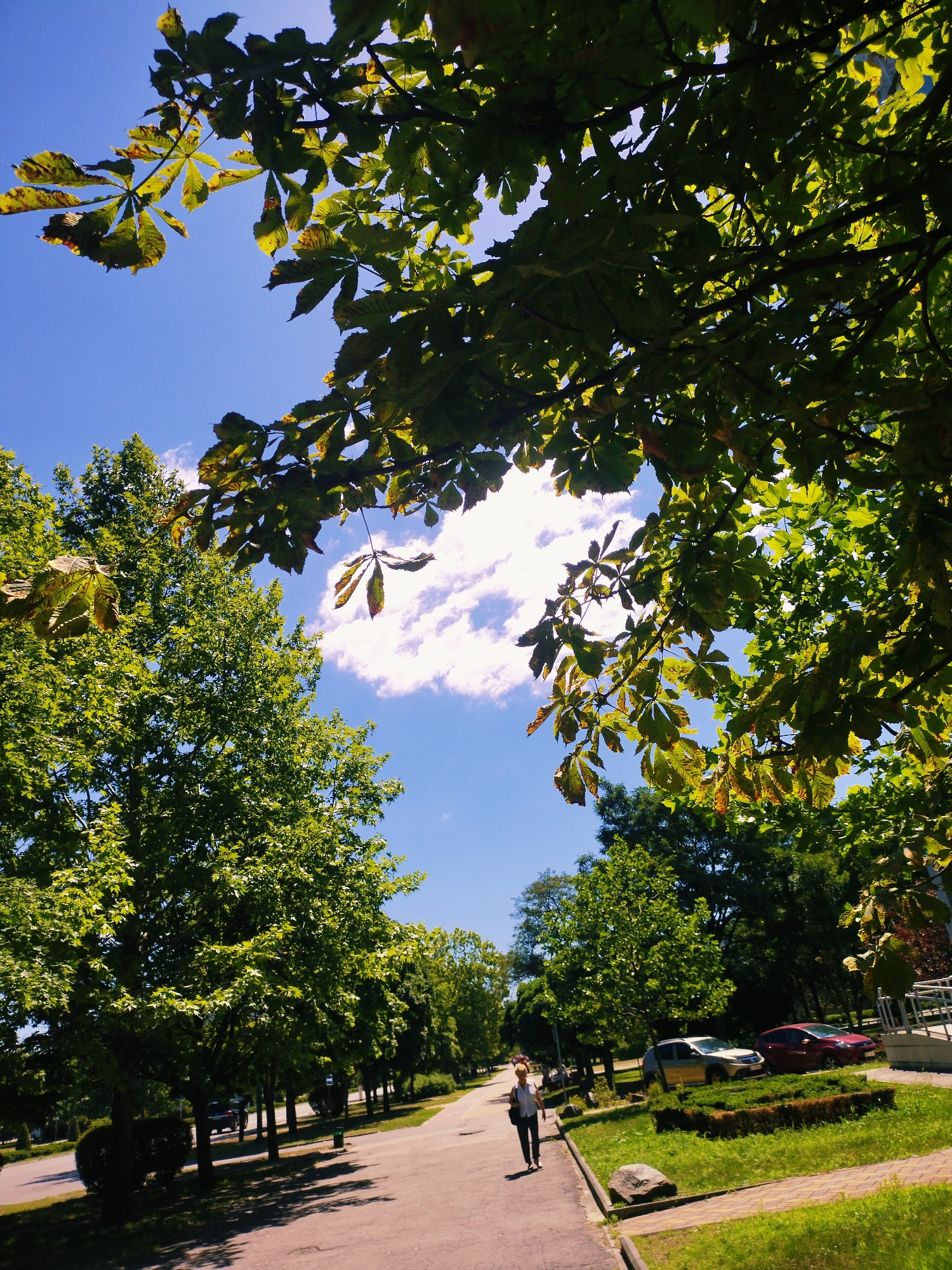 The image depicts a tree-lined walkway with a woman walking towards the viewer. The walkway is paved, with grass and some decorative bushes on the right. Two cars are parked on the grass to the right of the walkway. In the background, more trees are visible, and the sky is blue with some clouds. The foliage of trees hangs over the scene from the top. The image appears to have been taken in a park or a similar outdoor public space in Horishni Plavni, Ukraine, during daylight hours. The woman is wearing a light-colored shirt and dark pants, carrying a bag over her shoulder.