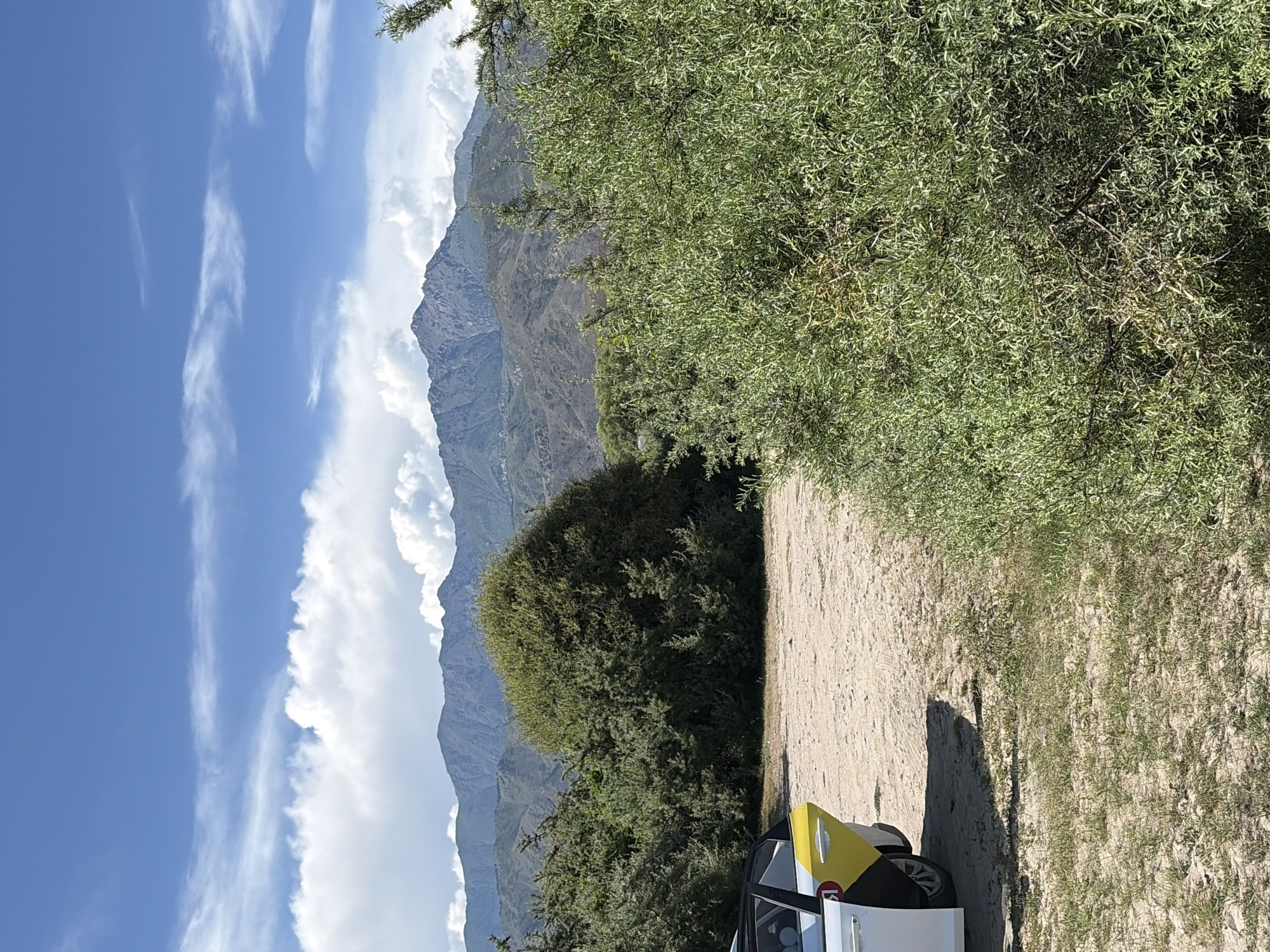 A wide-angle, eye-level, full outdoor shot captures a landscape featuring a white and yellow car parked on a dirt and sparse grass area. The car's driver-side door is open. Dense green foliage, including a large rounded bush and smaller, wispy bushes, dominates the foreground and midground. In the background, a range of mountains rises against a blue sky filled with scattered white clouds. The scene appears to be in a natural, undeveloped area.
