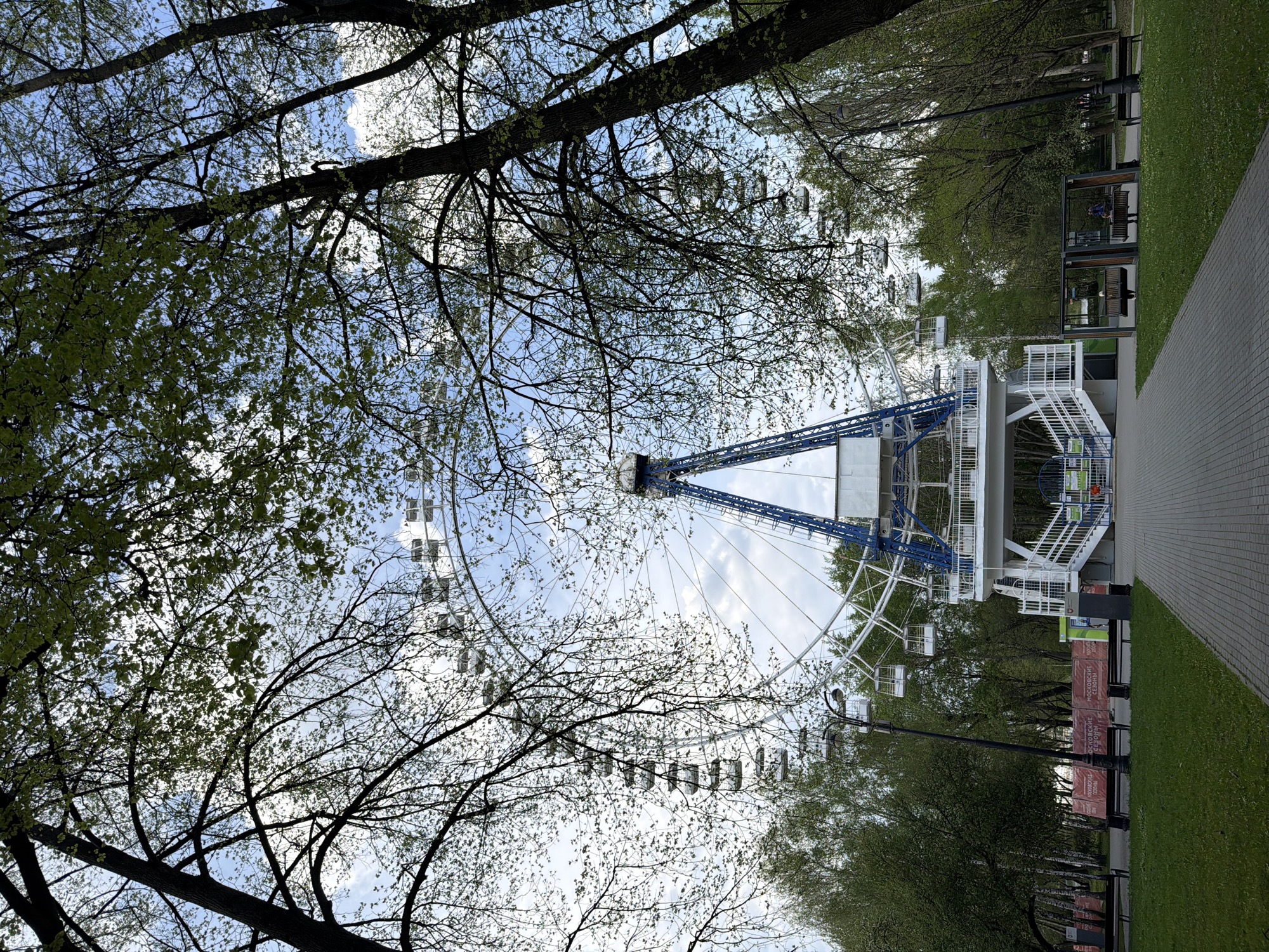The image depicts a Ferris wheel in a park, likely located in Moscow, Russia based on the Cyrillic text on nearby signage. The Ferris wheel is white with blue structural supports, partially obscured by tree branches with budding leaves. A pathway runs adjacent to the Ferris wheel, bordered by grass and trees. The sky is visible through the branches, appearing light blue with some clouds. A modern pavilion is next to the structure.