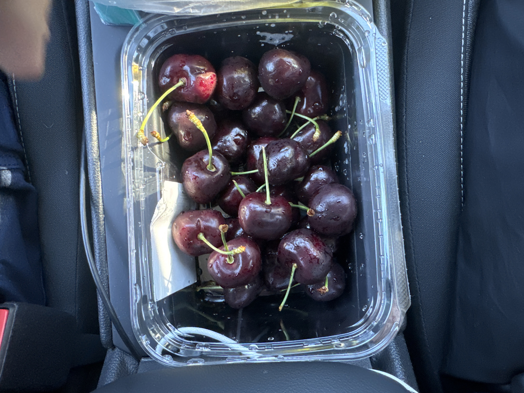 In San Mateo, United States of America, a clear plastic container filled with dark red cherries is positioned on a black surface, likely a car's center console. The container is transparent, revealing the wet surface of the cherries and the dark interior of the container. A white paper or label is partially visible beneath the cherries. To the left, a black car seat or interior component with a red buckle is present. The background is dark and out of focus, suggesting an indoor or shaded environment. The lighting appears to be natural sunlight, casting subtle reflections on the cherries.