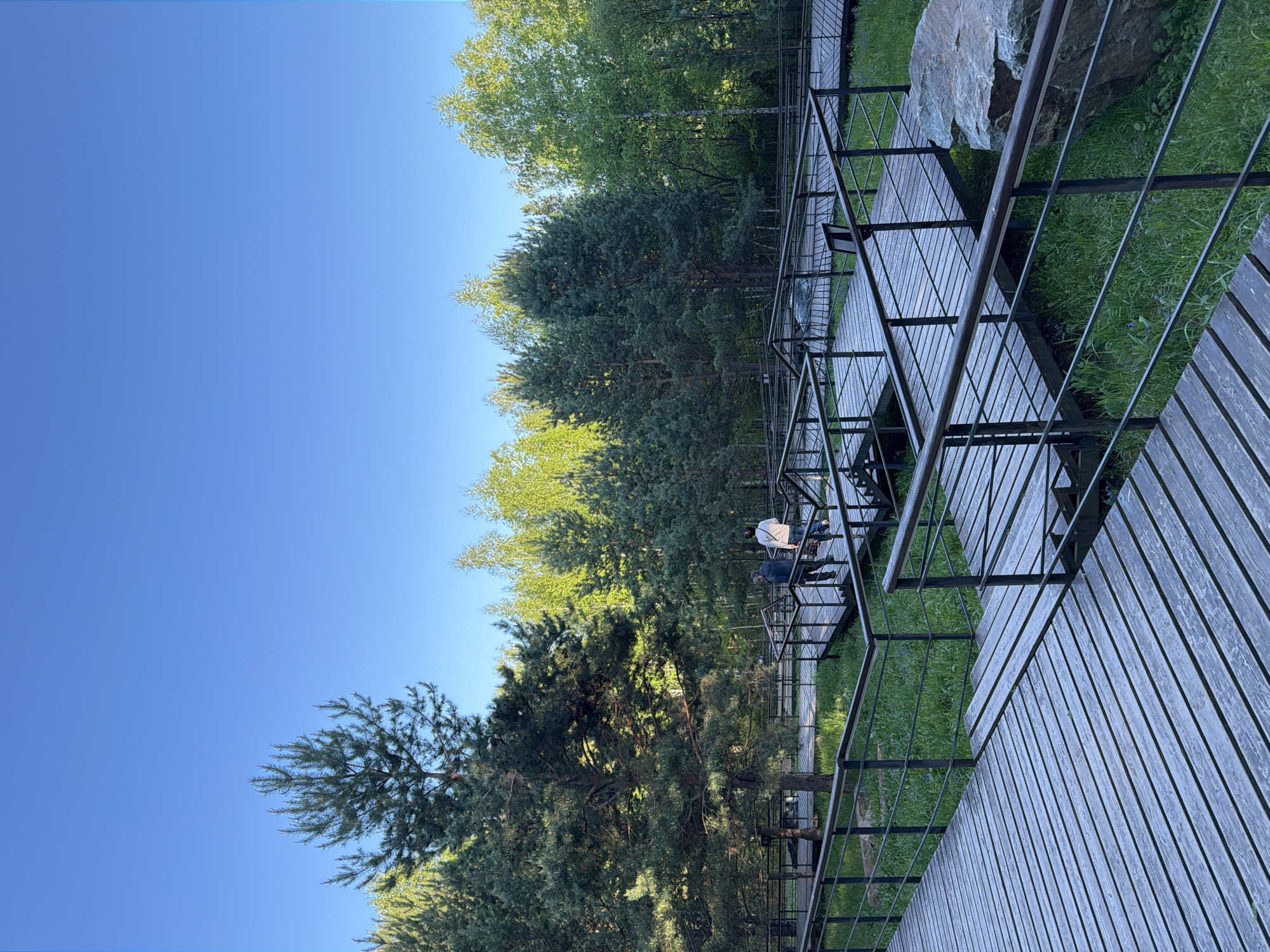 The image depicts a wooden walkway with metal railings, likely a constructed path within a park or recreational area. Trees are visible along the path, with green grass visible in the background along the walkway. There are two people are sitting on benches along the walkway.
Based on the appearance of the walkway and trees, it is likely this scene is taken in the city of Krasnoyarsk, Russia, specifically at Tatyyshev Park.