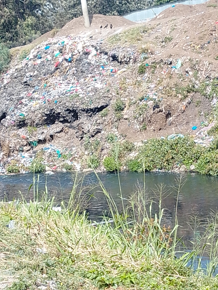 The image displays a severely polluted natural environment in Nairobi, Kenya, under clear daylight. In the foreground, a strip of mixed dry and green tall grasses occupies the lower portion of the frame. The midground features a dark, flowing body of water, consistent with a river or stream, exhibiting surface ripples. The background is dominated by a steep embankment. The left and central sections of this embankment comprise a substantial, uncontrolled refuse dump site, characterized by a massive accumulation of multi-colored waste, predominantly plastic bags and wrappers (white, black, red, blue, green), intermixed with soil and other debris, forming a tiered mound that descends towards the water. The right portion of the embankment consists of a steep dirt slope with sparse green vegetation and scattered litter, indicating erosion. A light-colored utility pole stands near the crest of the slope, slightly left of center. Three small, dark avian figures are perched on a dirt mound adjacent to the utility pole. Denser green foliage is visible in the far background, and a light-colored barrier or structure is partially visible on the far upper right. No human subjects are present.