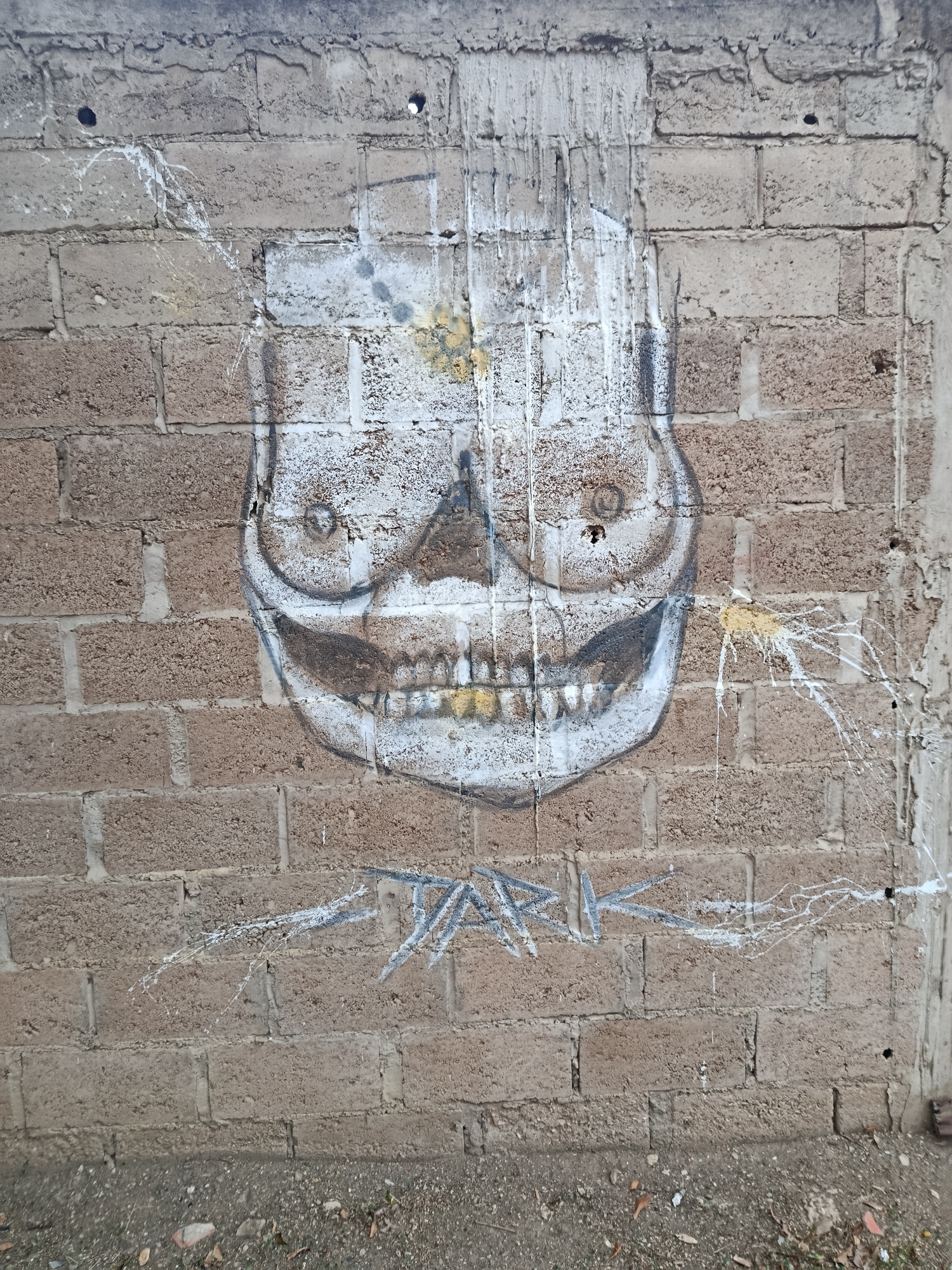 A graffiti artwork of a skull is spray-painted on a rough, light brown cinder block wall. The skull is depicted with wide, dark eye sockets with small circular pupils. Its mouth is open, revealing yellow teeth and a dark interior. White paint drips from the top of the skull, creating a streaky effect that extends down the wall. Splatters of white paint, some with yellow accents, are visible around the skull, particularly to its right. Below the skull, a line of sharp, angled lines in white and gray spray paint forms a distinct design. The wall shows signs of wear and tear, with some sections appearing lighter or discolored. The ground at the base of the wall is covered in dirt, small stones, and scattered dry leaves. The context of Altagracia, Venezuela, indicates an urban environment.