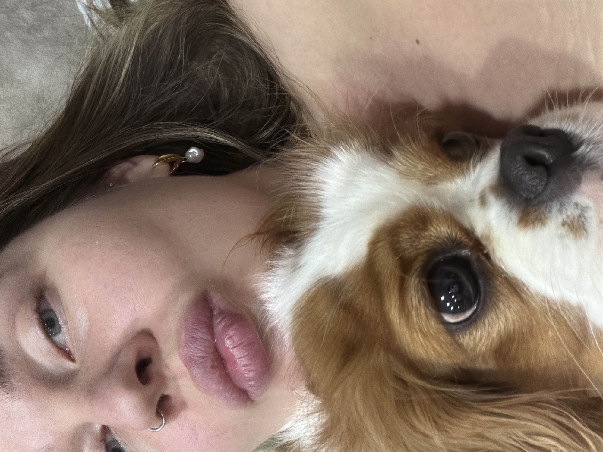 A close-up photograph depicts a human individual embracing a domestic canine in the city of Chaikovsky, Russia. The upper-left of the frame features the face of a person with light skin, partially visible blue eyes, and brown hair extending from the right. A silver hoop nose ring is visible in the left nostril, and a gold hoop earring with an irregular white pearl drop, along with a small silver stud piercing, is present on the visible right ear. The individual's full, pink lips are in a puckered pose. Below the person's mouth and occupying the lower-center is the head of a small dog, consistent with a Cavalier King Charles Spaniel, displaying reddish-brown and white fur markings. The dog's large, dark eyes show reflections and are directed towards the viewer. The dog's black nose is prominent. The human's bare right shoulder is visible. The background is indistinct and light-colored, suggesting an indoor setting.
