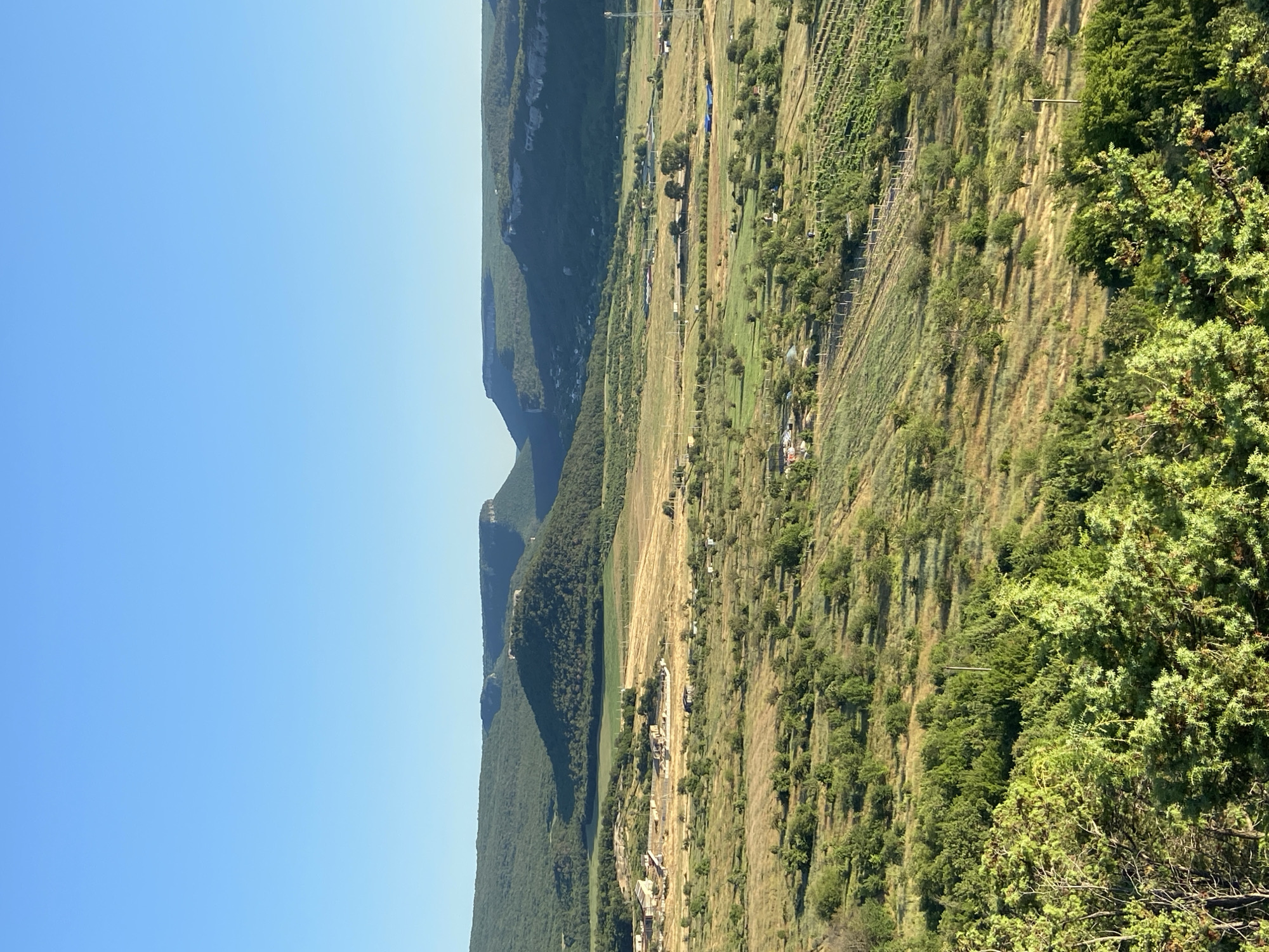 The image depicts a vast, rolling landscape under a clear blue sky. In the foreground, dense green foliage, likely juniper and other shrubbery, occupies the lower portion of the frame. The midground reveals a patchwork of fields, some appearing fallow with dry grass, others cultivated with rows of green crops and vineyards. Scattered throughout this area are small clusters of buildings, indicative of rural dwellings or agricultural structures, some appearing to be under construction with exposed framing.
Dominating the background are large, tree-covered hills and mesas with distinctly flat tops, characteristic of the region's topography. One prominent mesa in the center distance shows signs of ancient structures or fortifications near its summit, hinting at historical significance. The overall scene suggests a rural agricultural area, possibly on the outskirts of or within the Krasnomakskoye rural settlement in Ukraine, bathed in the warm, clear light of day. The absence of any visible people or active human interaction suggests a serene, potentially remote, landscape.