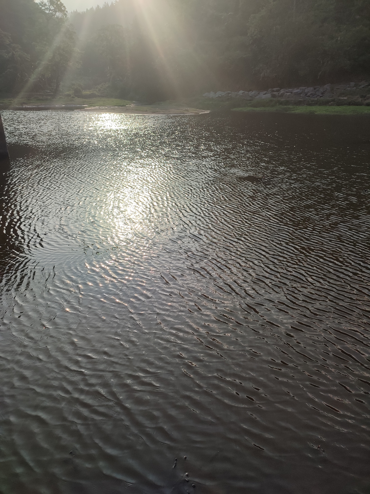 The image shows a body of water with ripples on its surface. Sunlight is reflecting off the water, creating a shimmering effect. In the background, there are trees and a misty sky, suggesting a natural landscape. There are no people visible in the image. The scene appears to be a serene and natural environment.